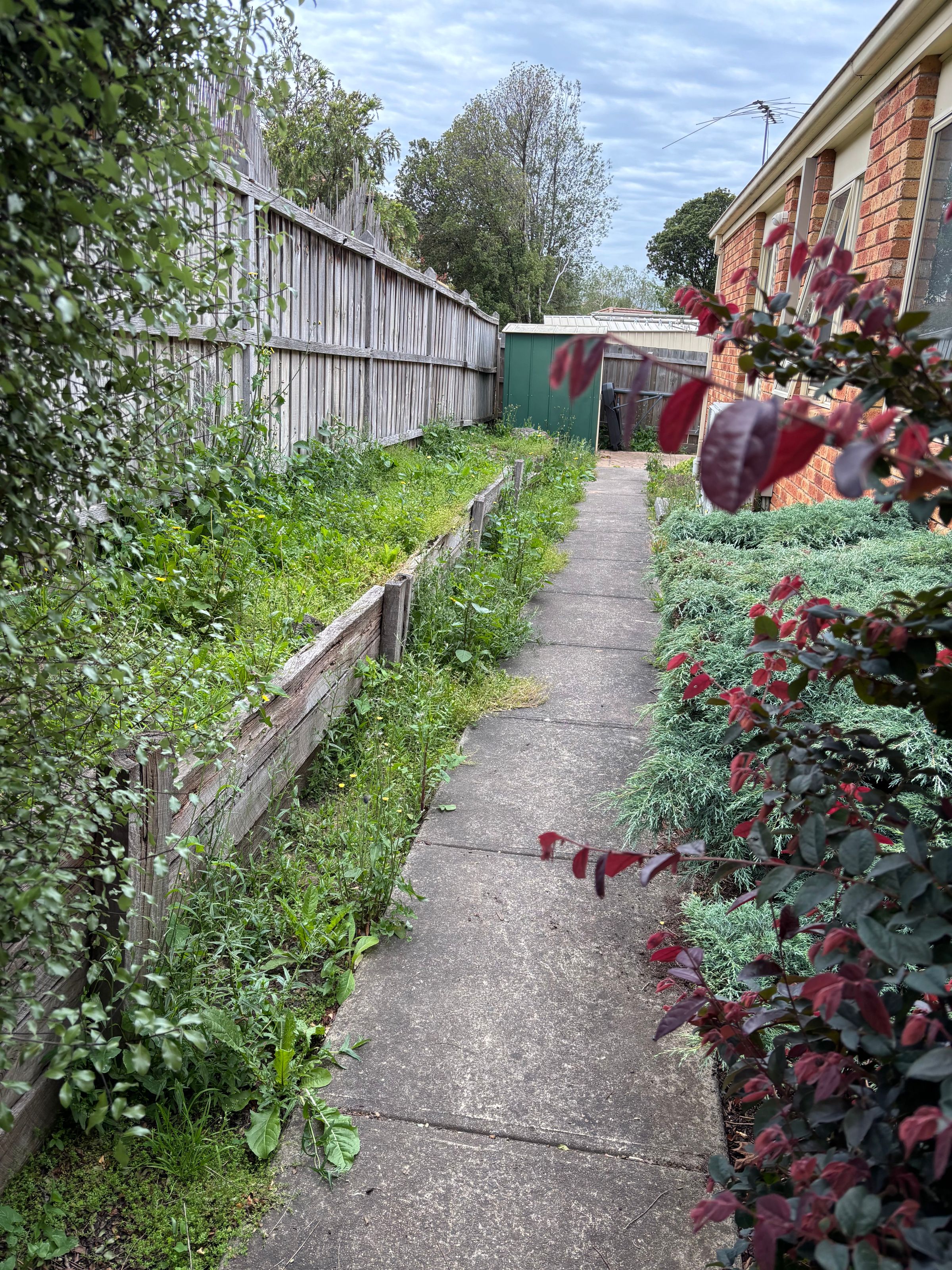 Eastern Ranga Lawn, Garden & Pool care's image