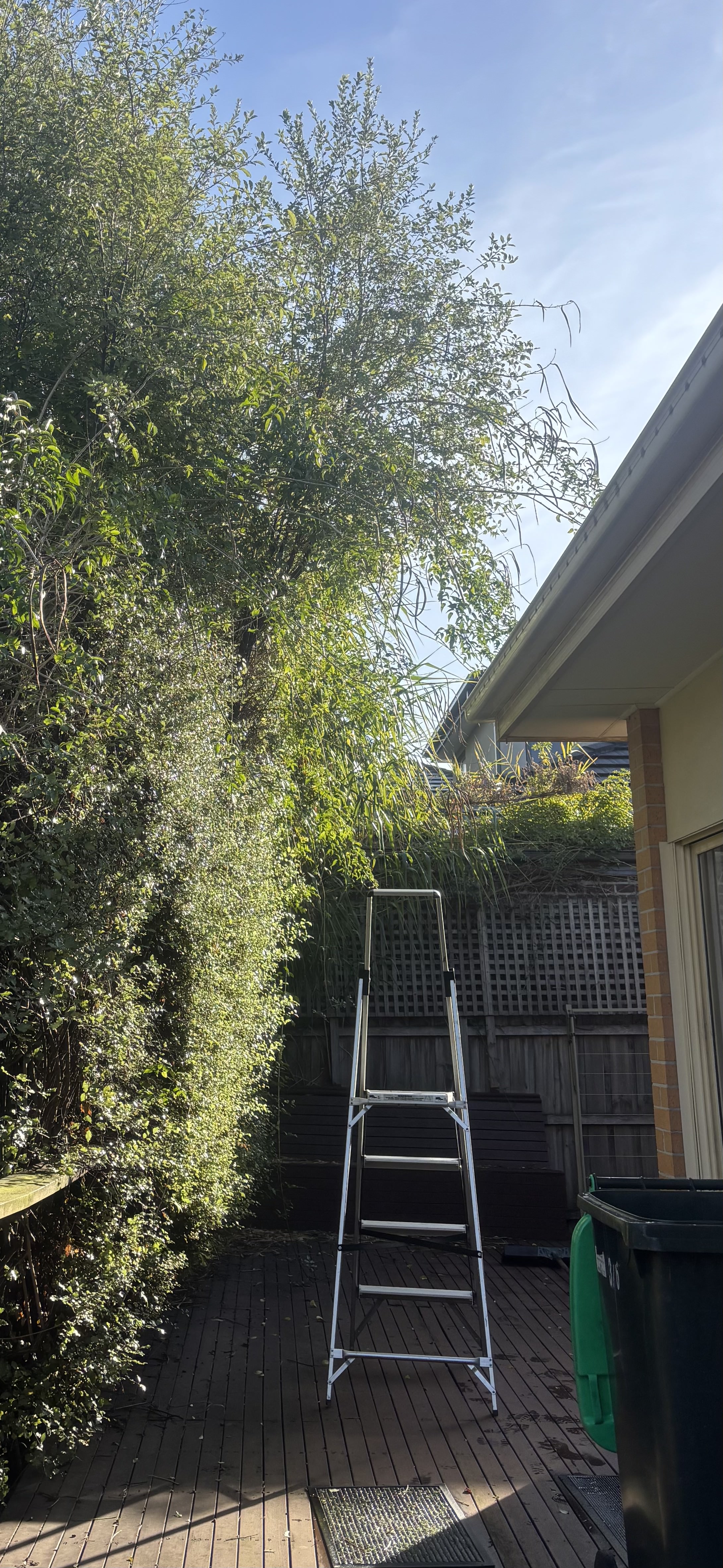 Eastern Ranga Lawn, Garden & Pool care's image