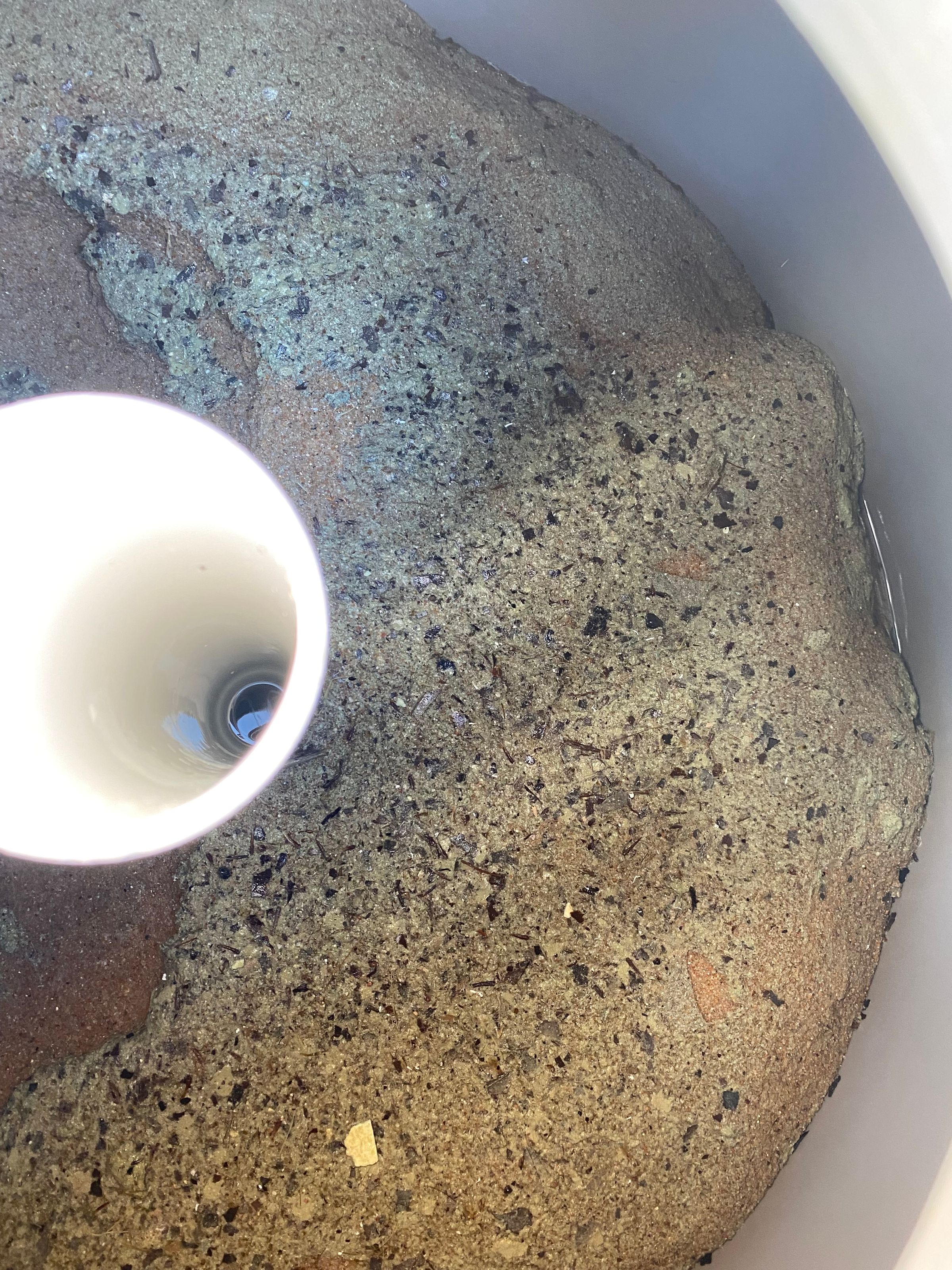 ACT Pool Repair 's image