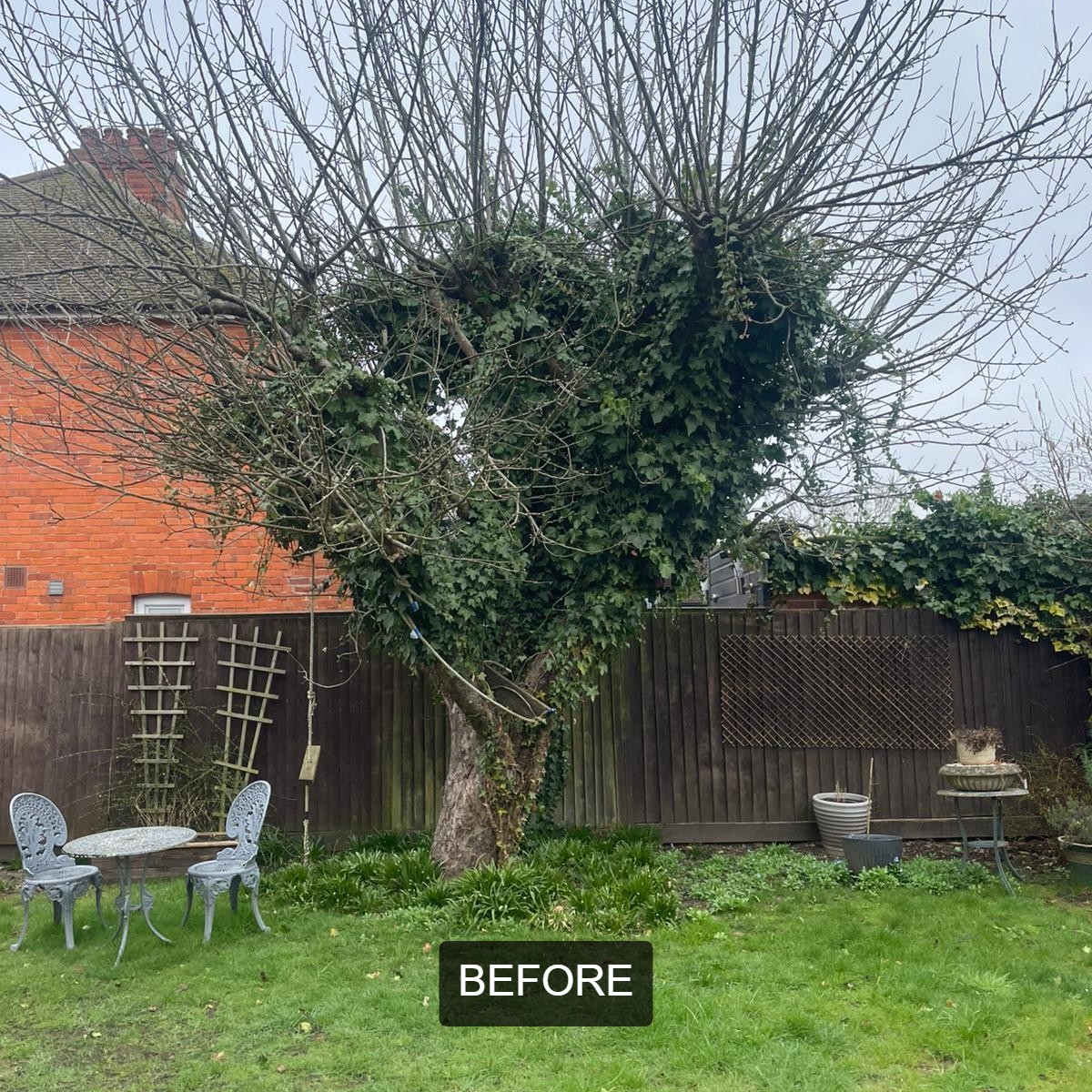 BWD Contractors's image