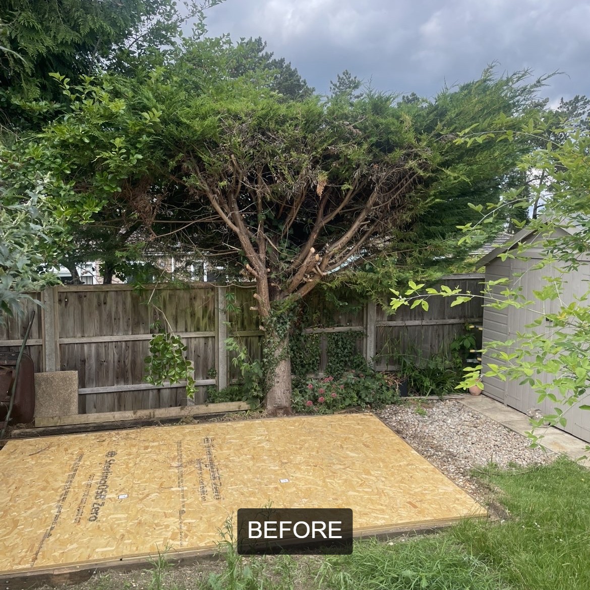 BWD Contractors's image