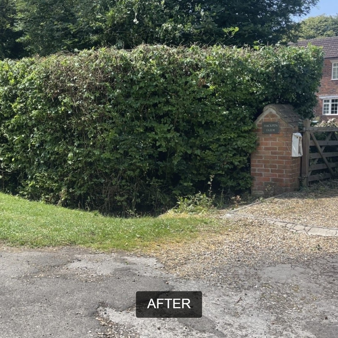 BWD Contractors's image