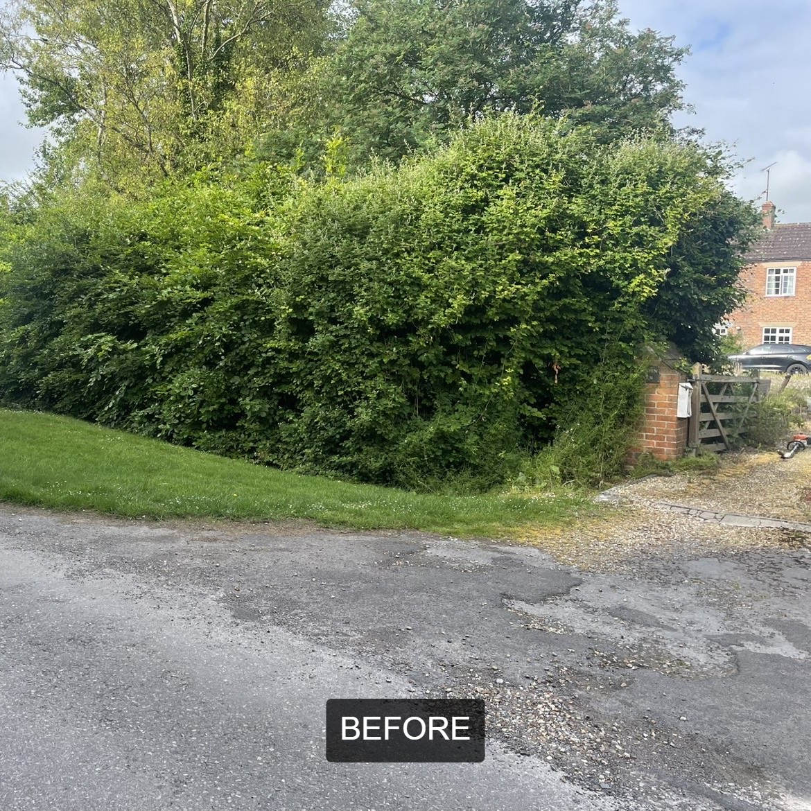 BWD Contractors's image