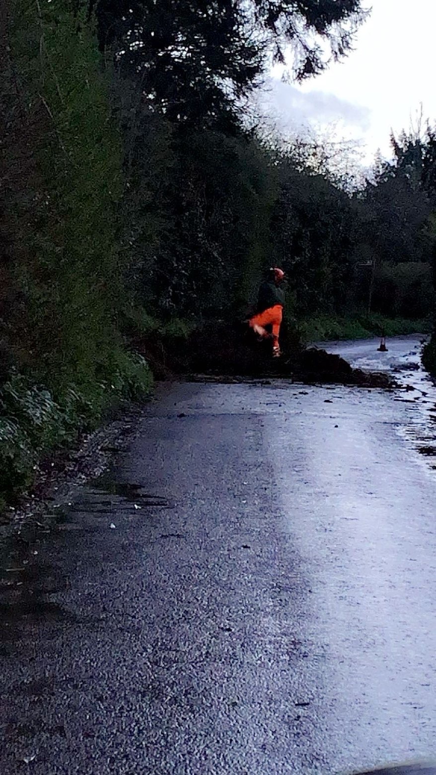 BWD Contractors's image