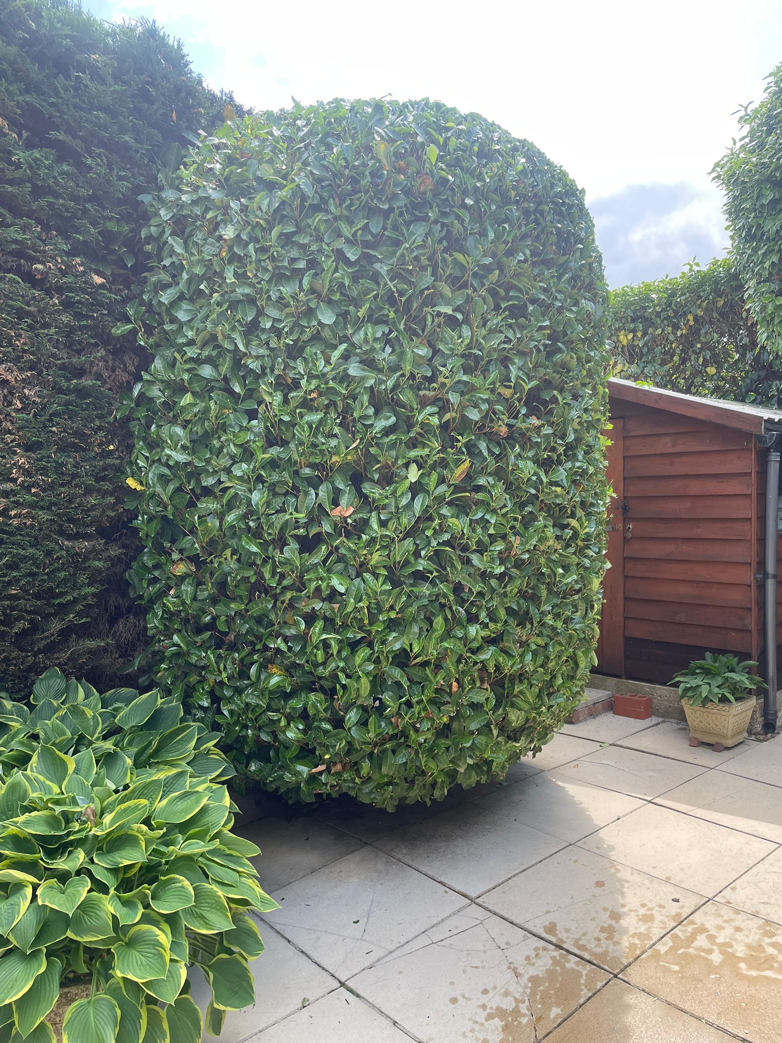 BWD Contractors's image