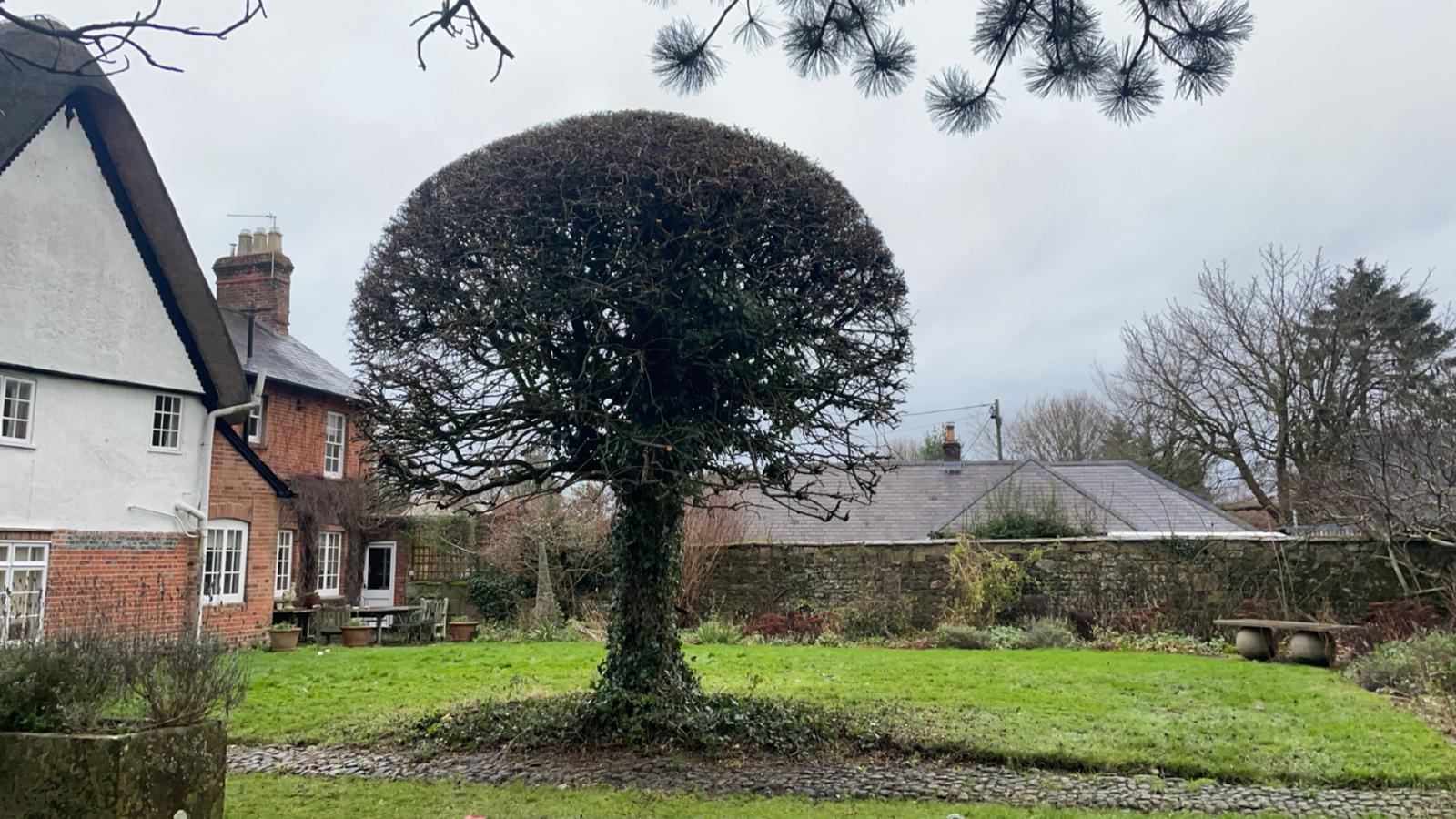 BWD Contractors's image