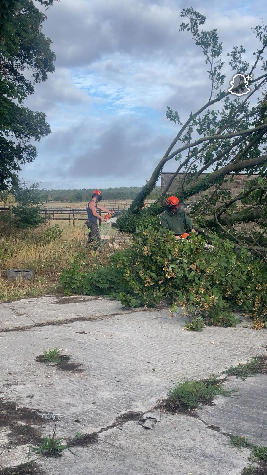 BWD Contractors's image