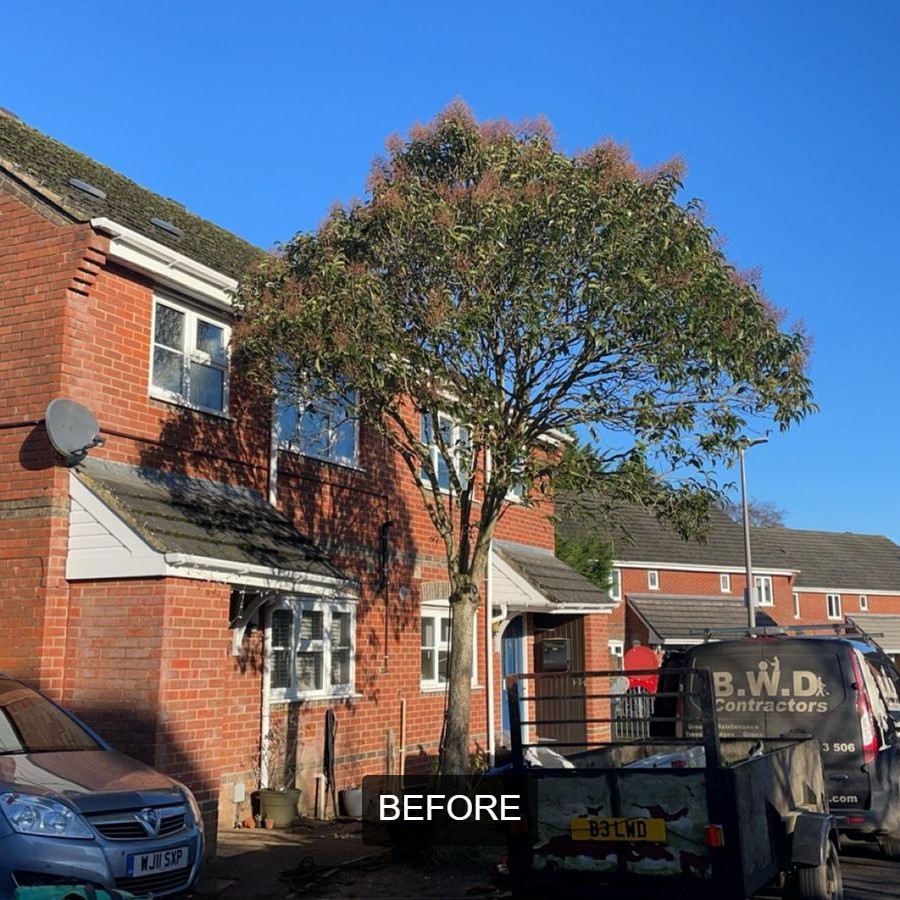 BWD Contractors's image