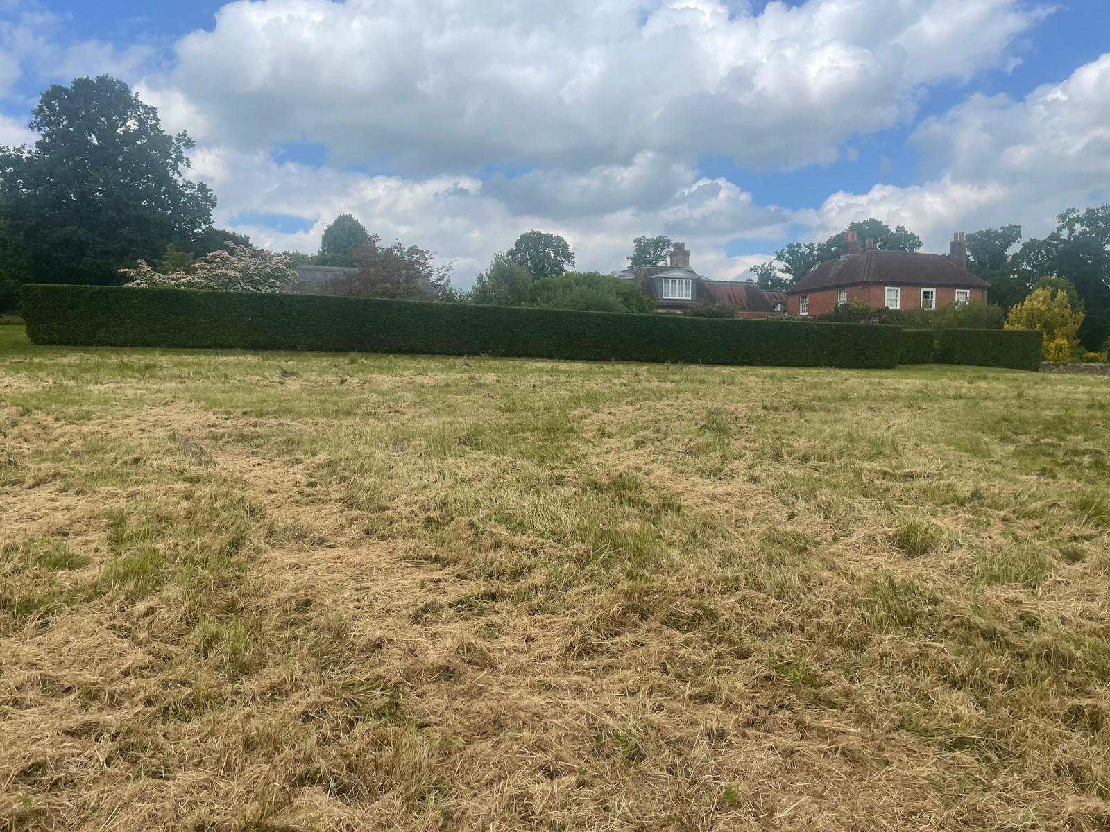 BWD Contractors's image