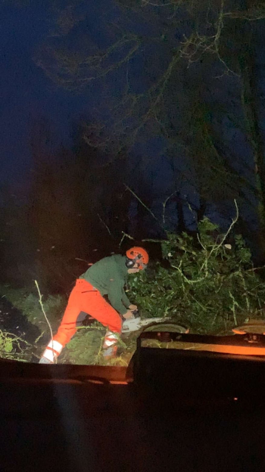 BWD Contractors's image