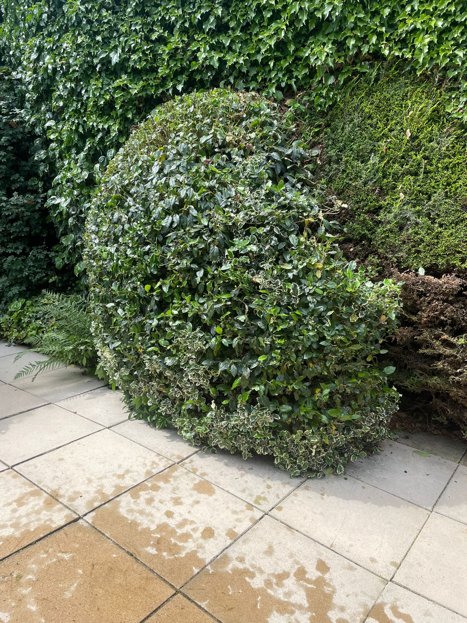 BWD Contractors's image