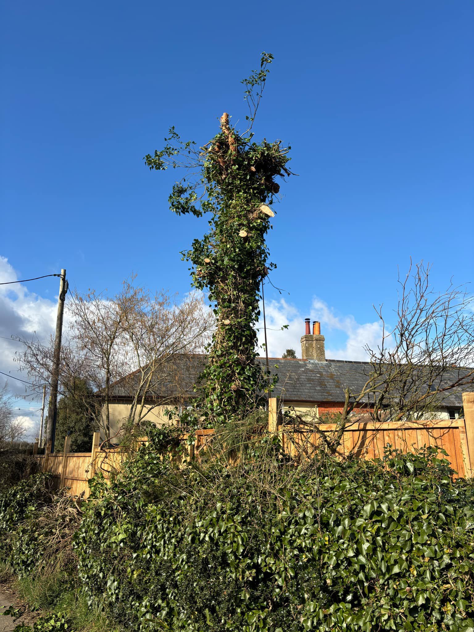 BWD Contractors's image