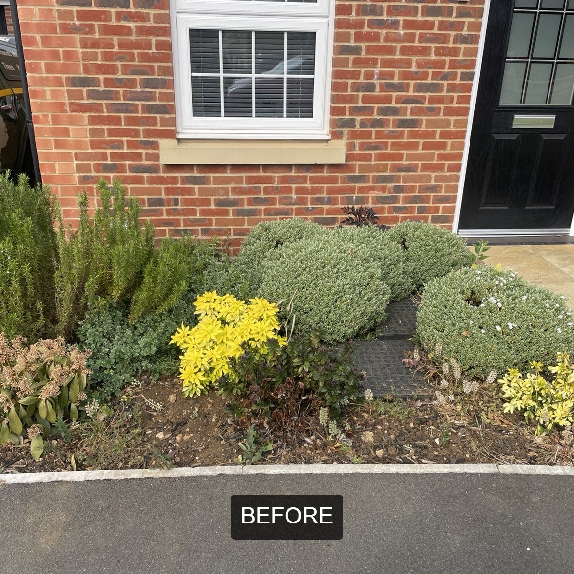 BWD Contractors's image