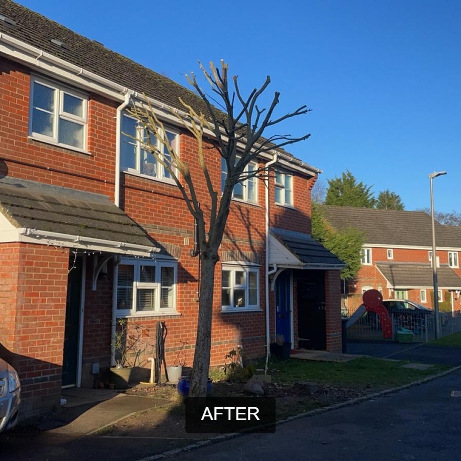 BWD Contractors's image