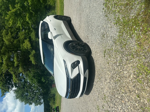 Morty's Auto Detailing: Premium Detailing & Ceramic Coatings's image