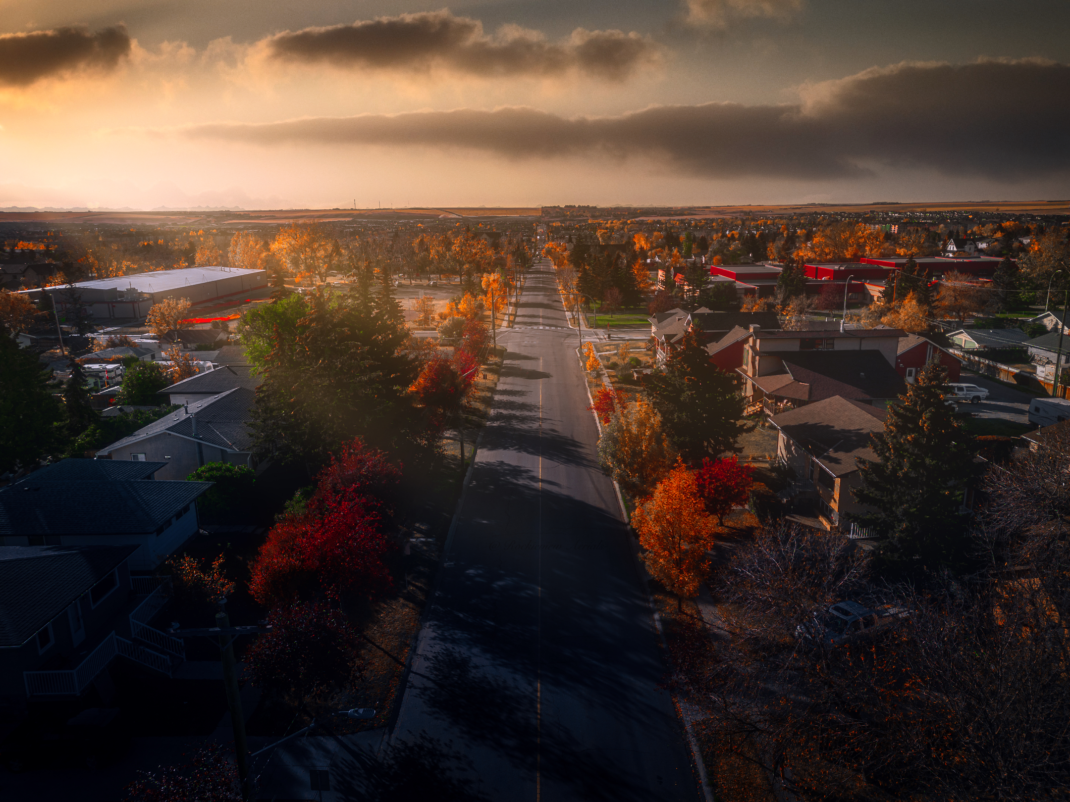 Rockyview Aerials & Media's image