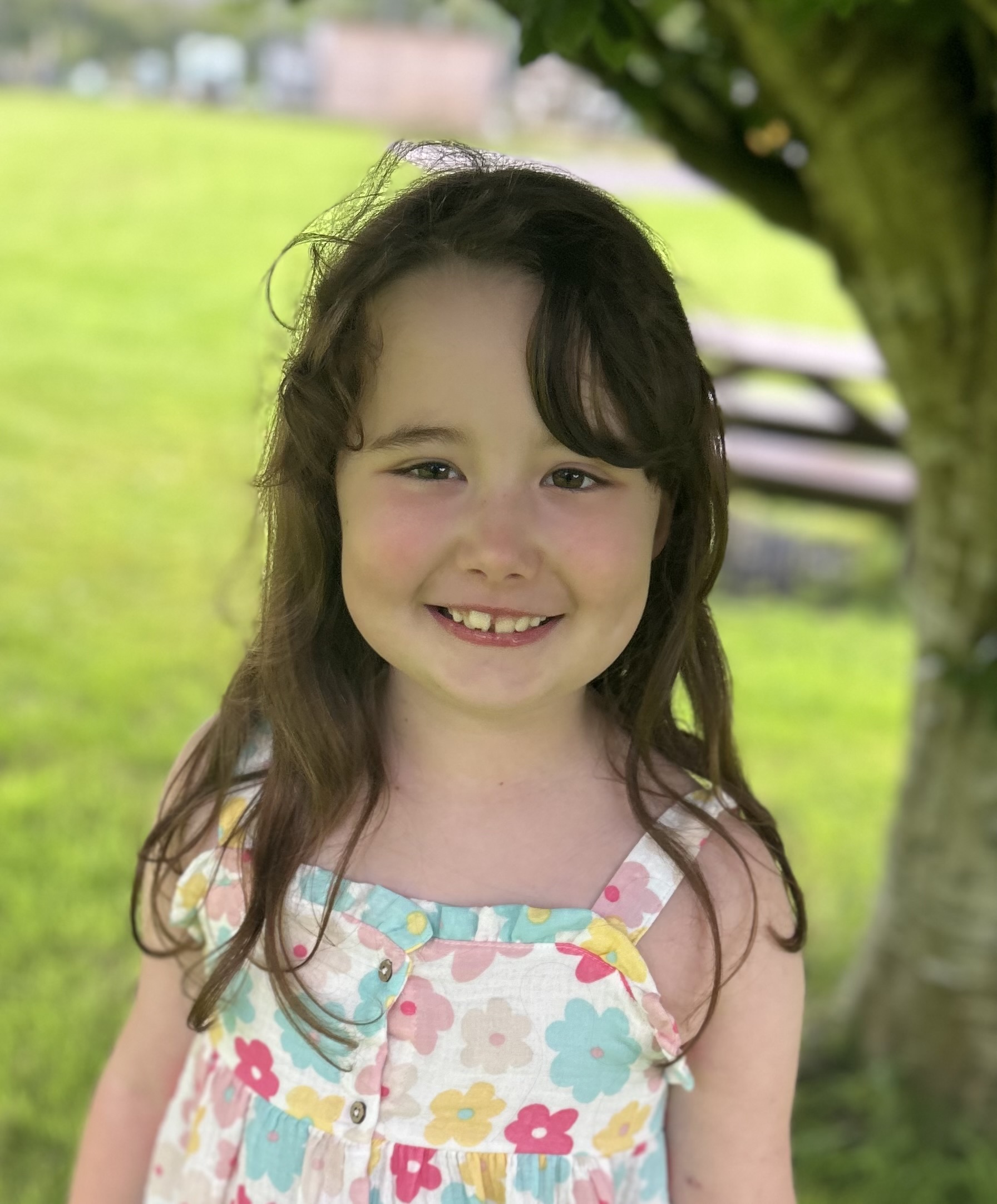 Harlyn’s Heroes's image