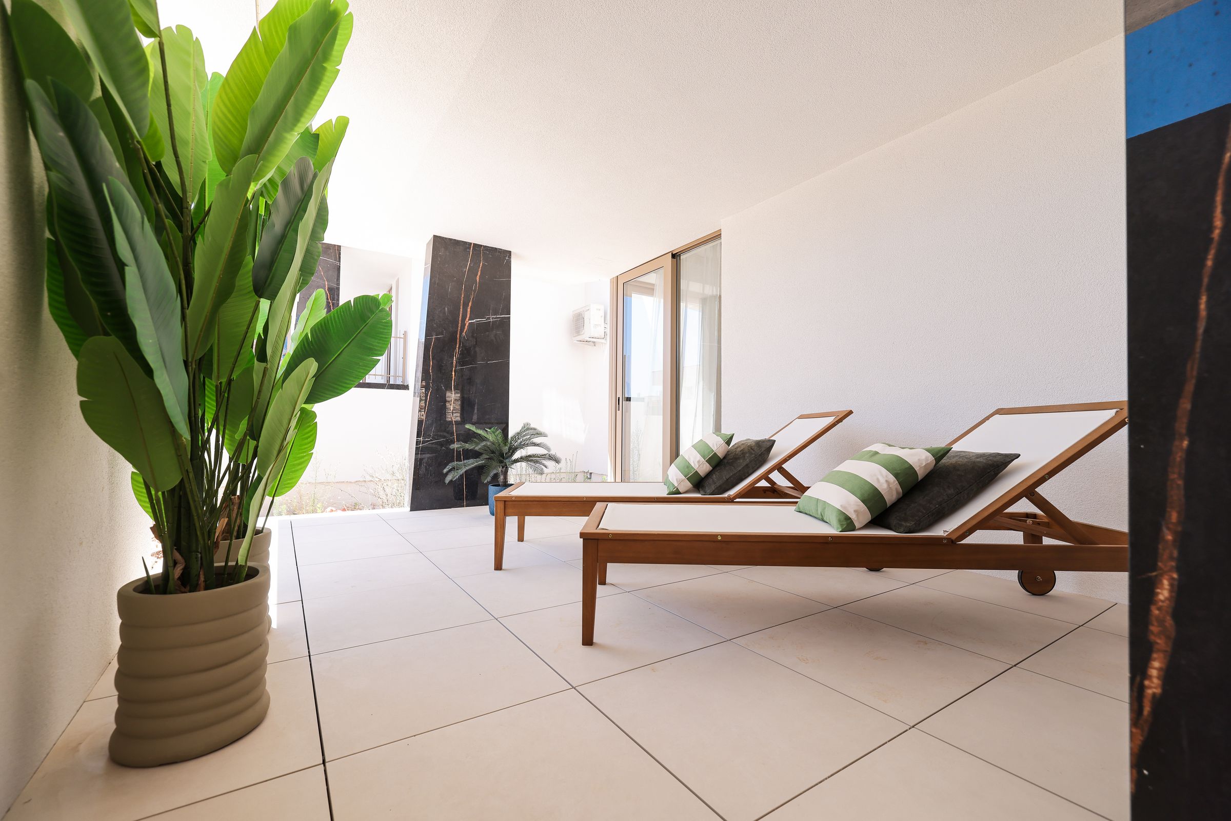 PEGASUS HOME 's image