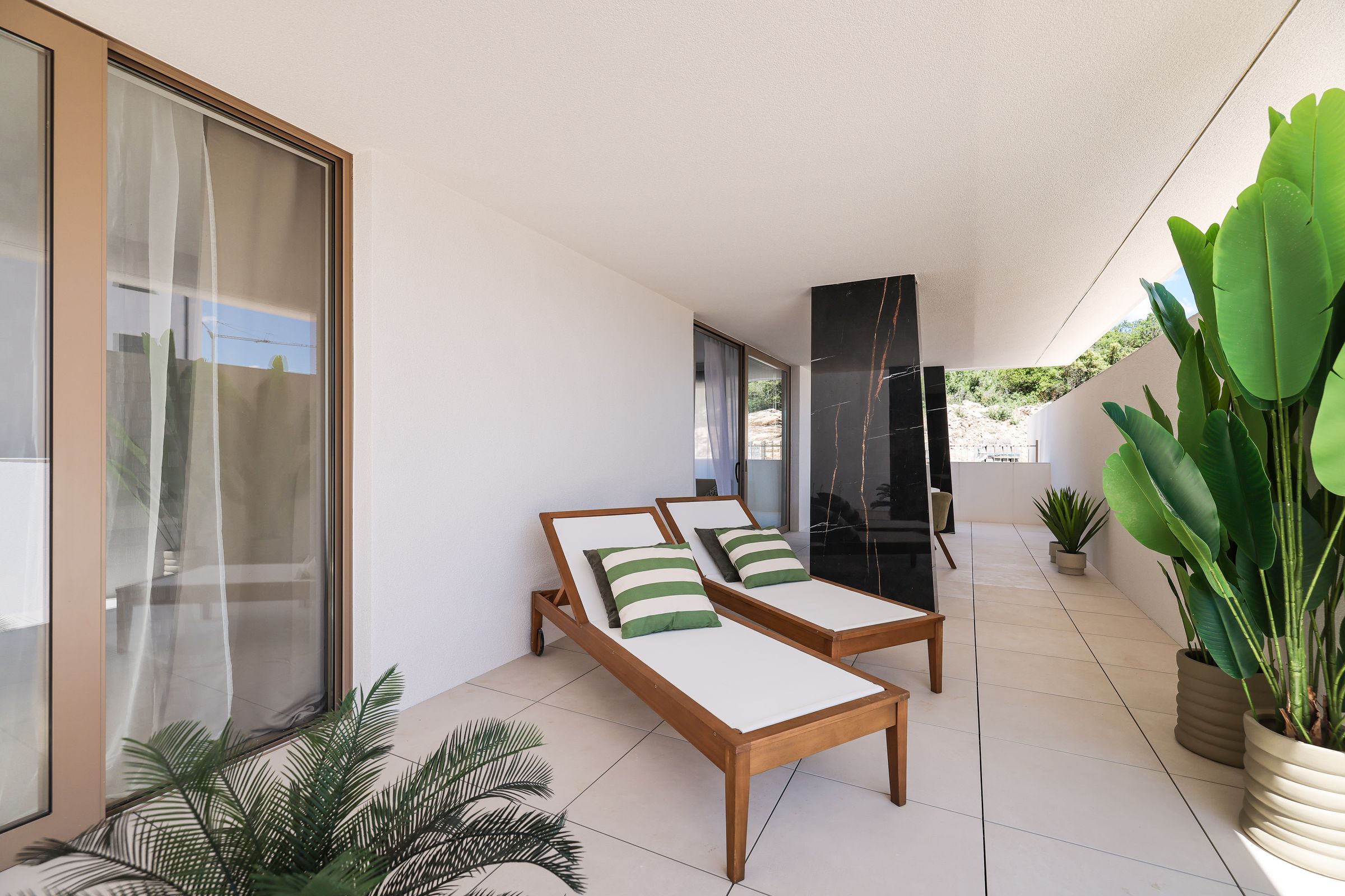 PEGASUS HOME 's image