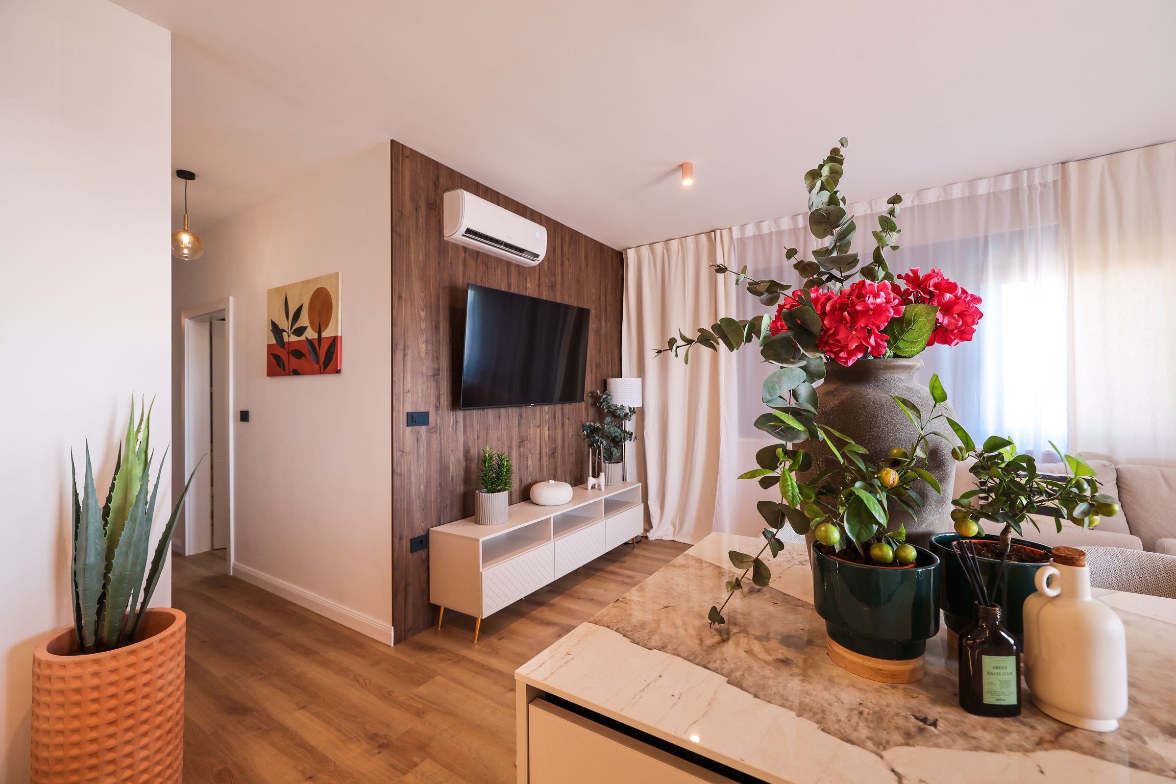 PEGASUS HOME 's image