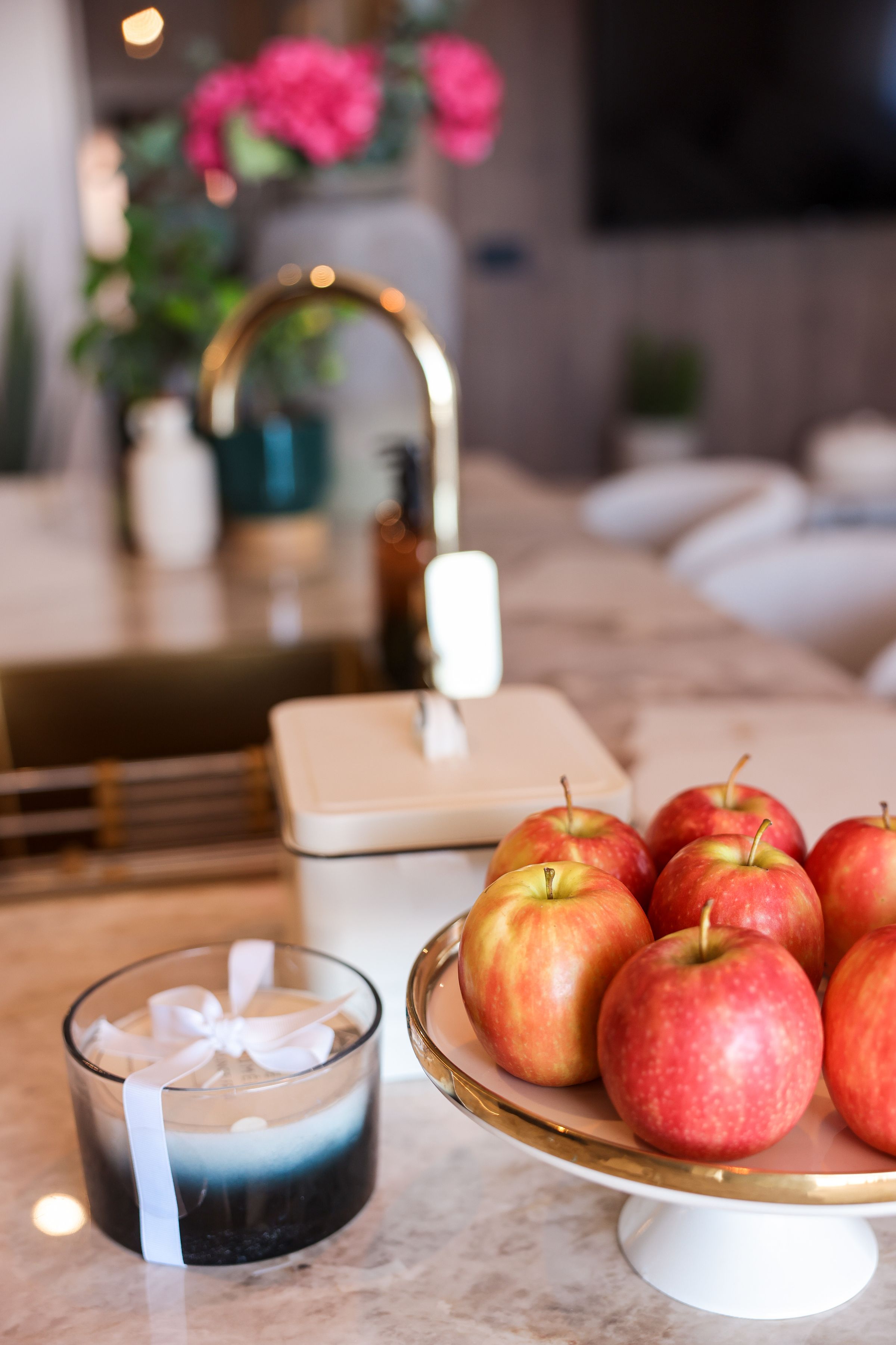 PEGASUS HOME 's image