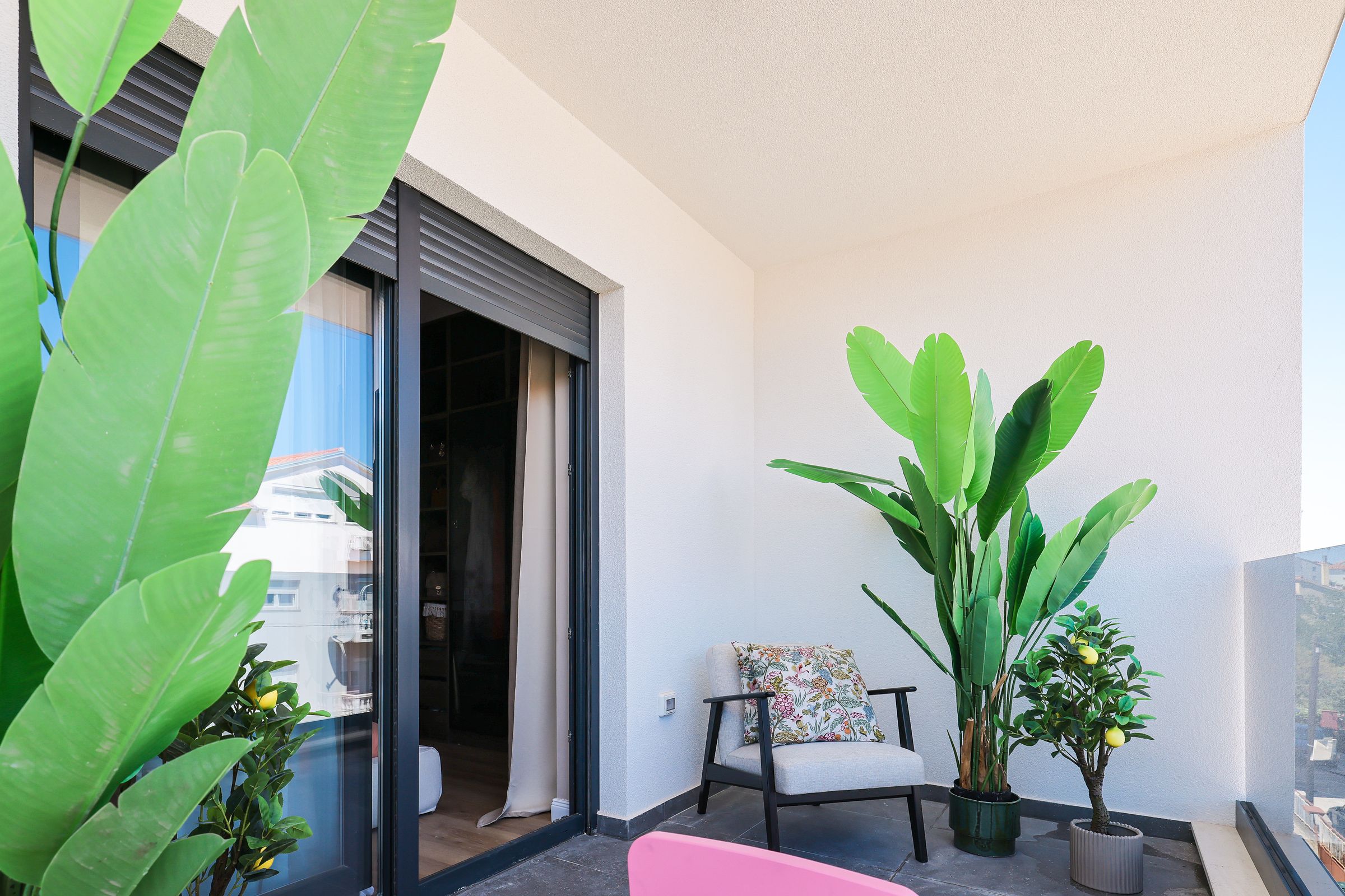 PEGASUS HOME 's image