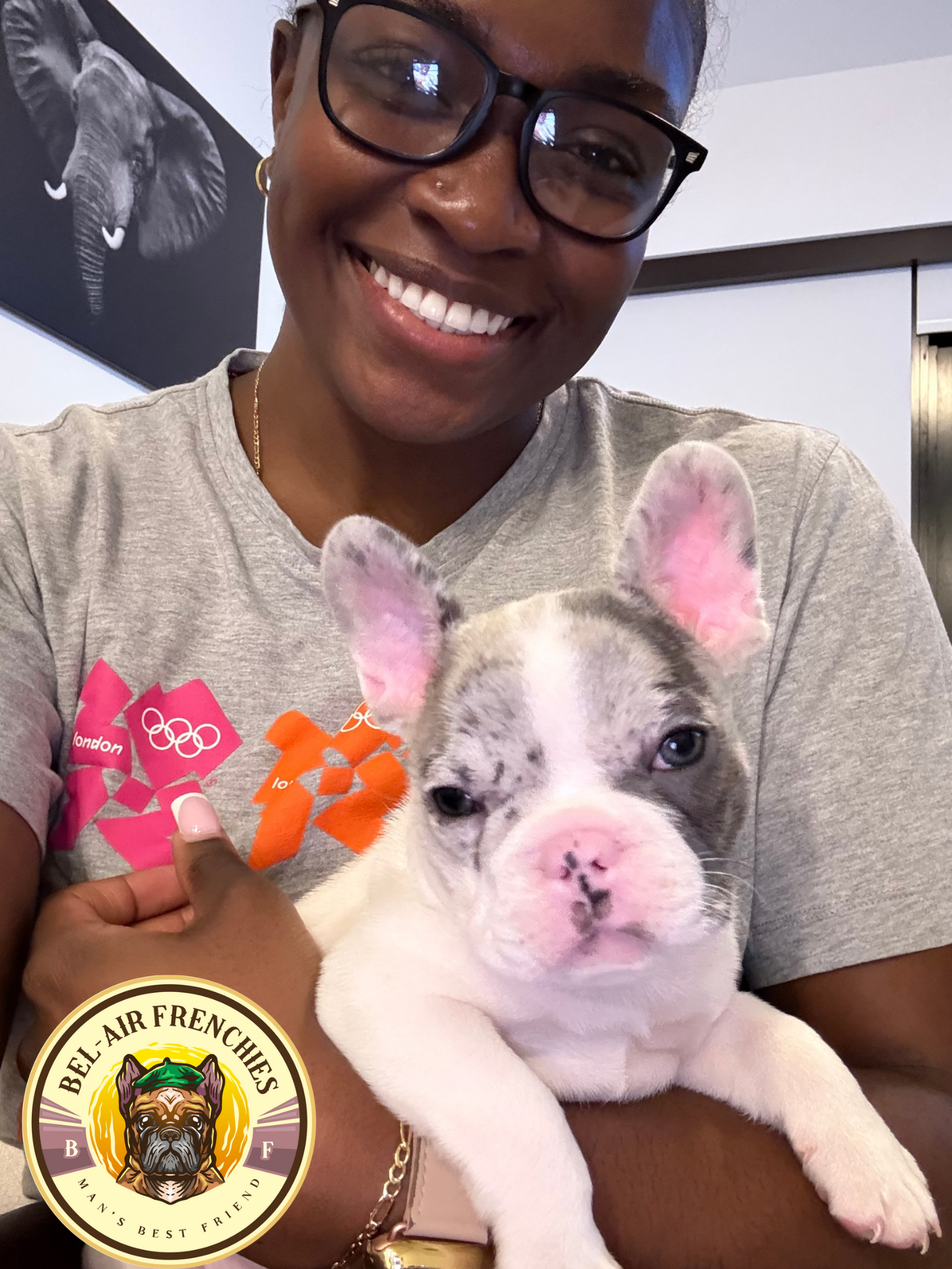 Bel-Air Frenchies's image