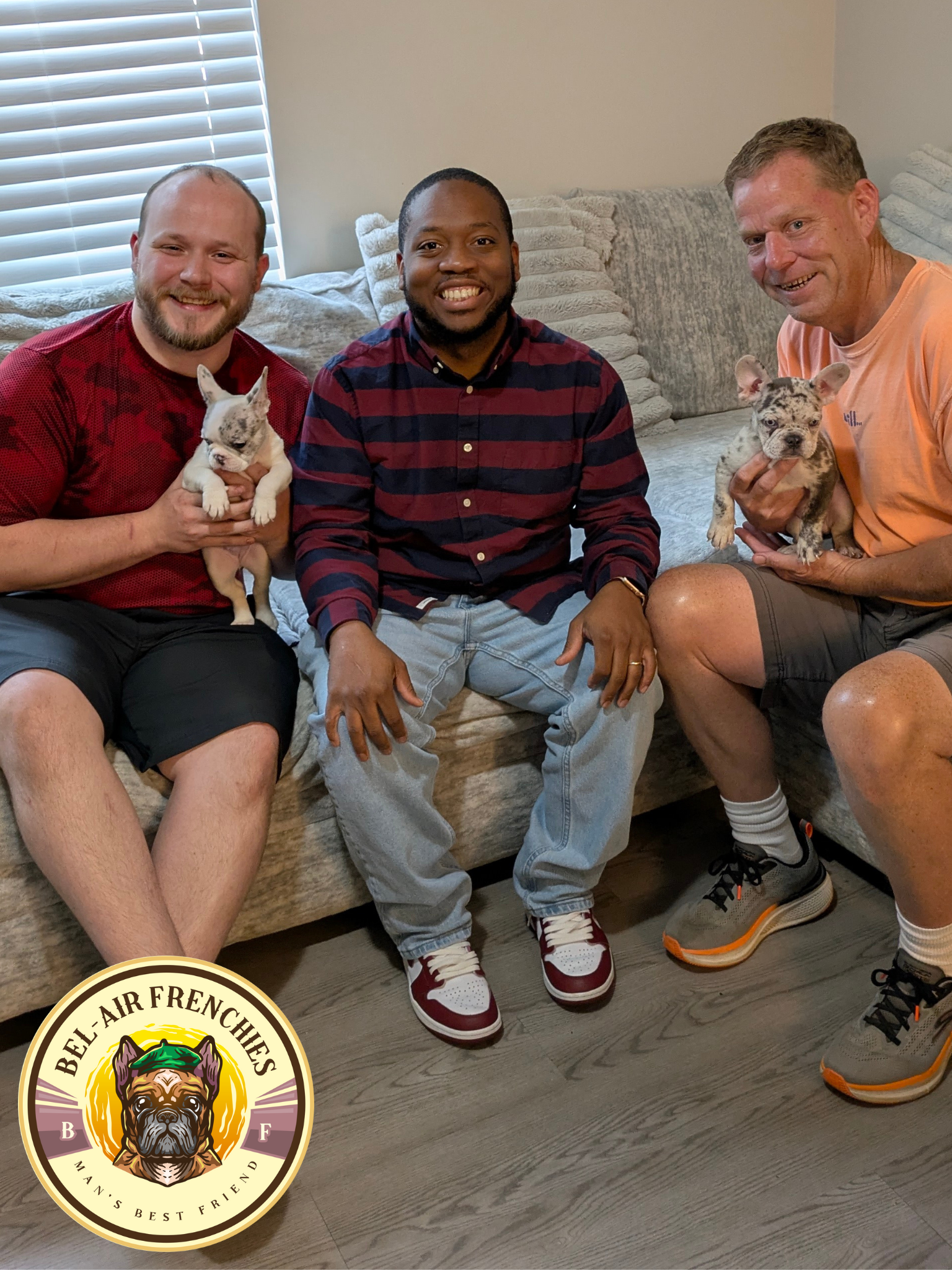 Bel-Air Frenchies's image