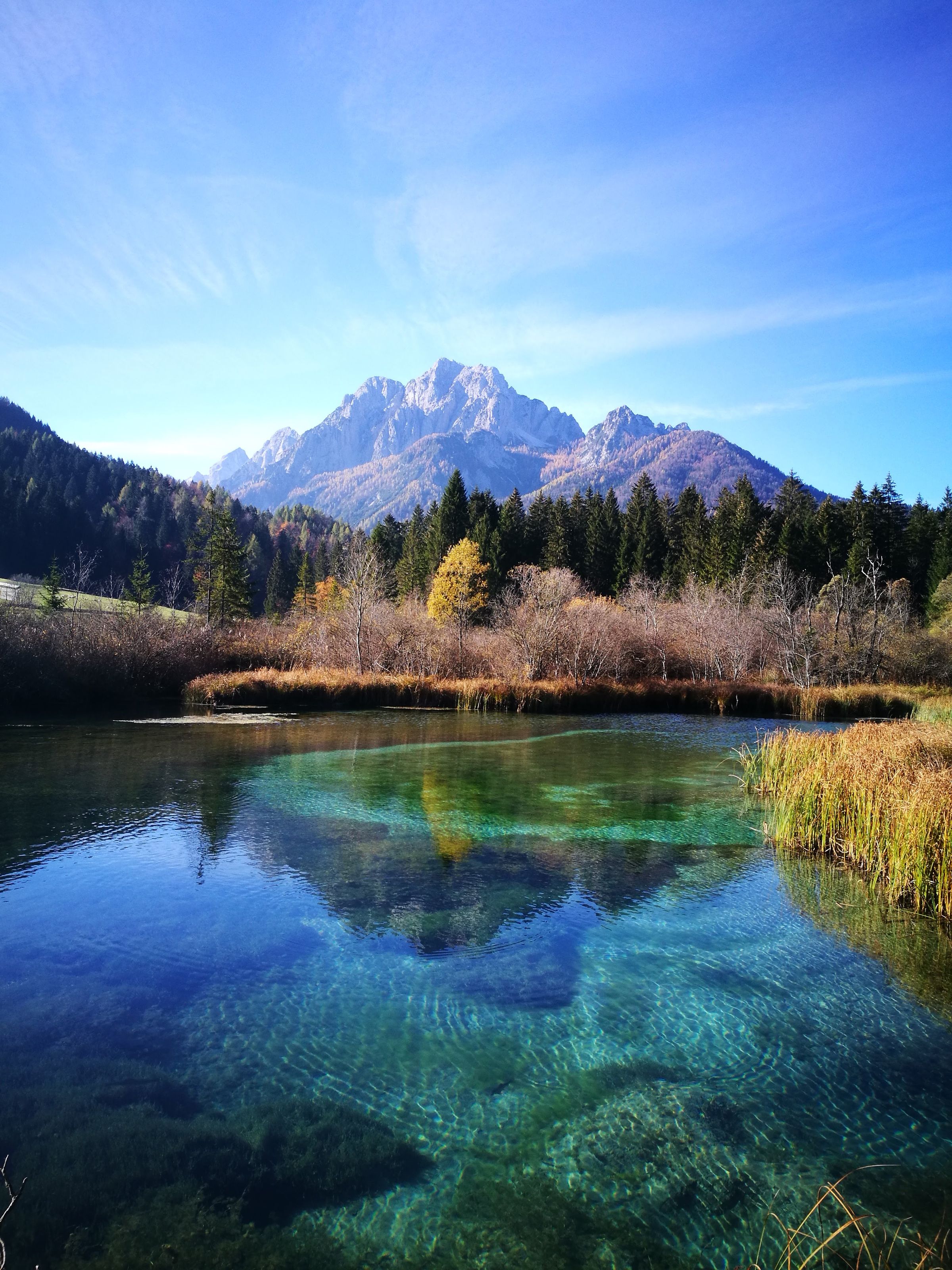 Green Getaways Slovenia's image