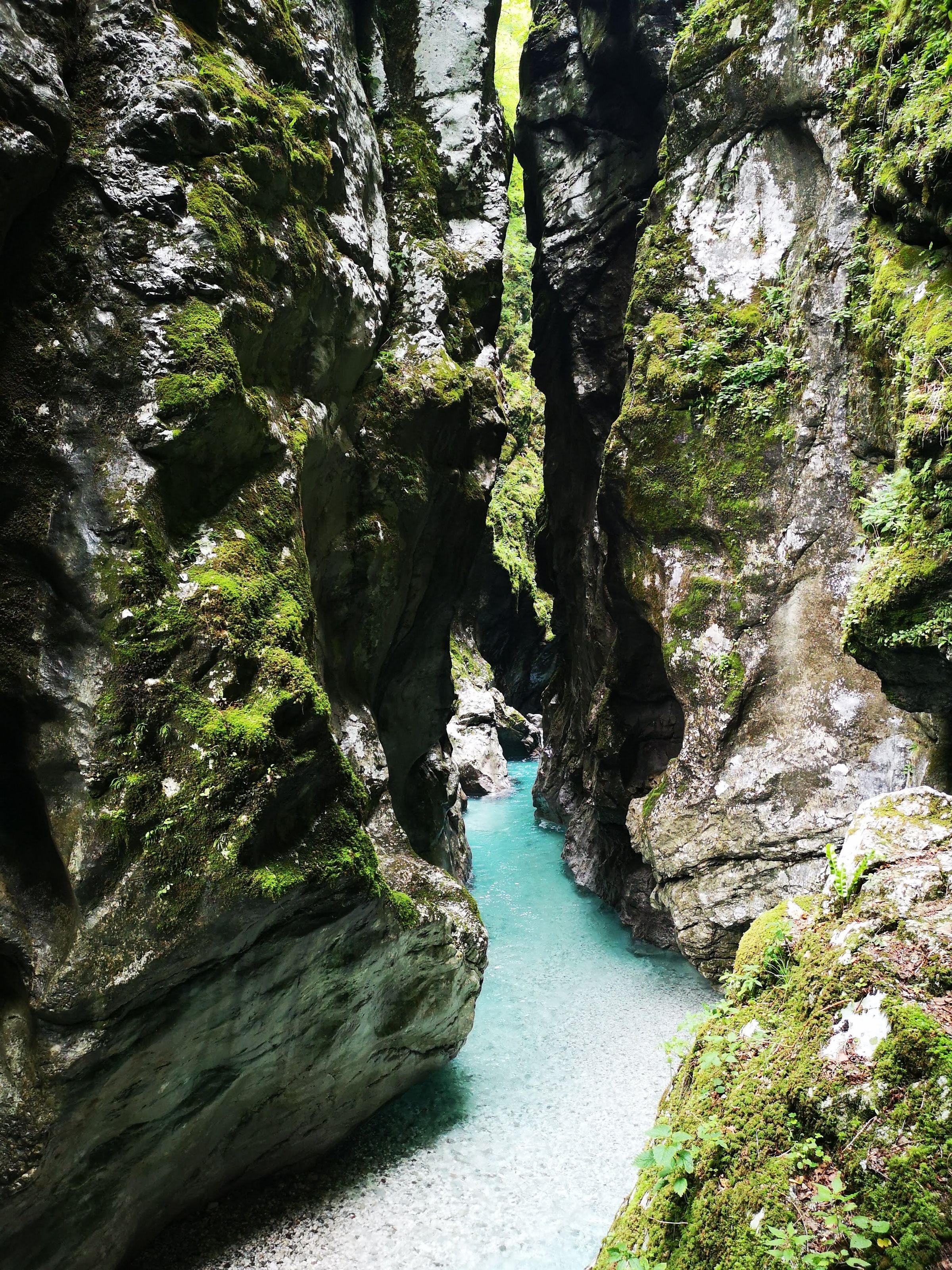 Green Getaways Slovenia's image