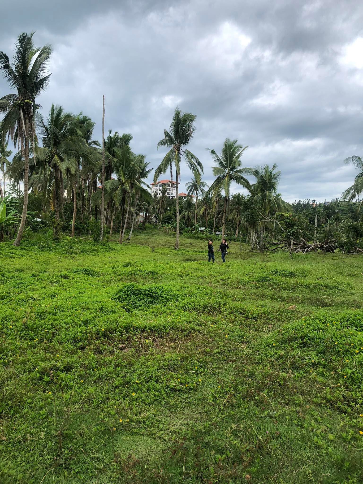 Aviresa prime estate corporation's image