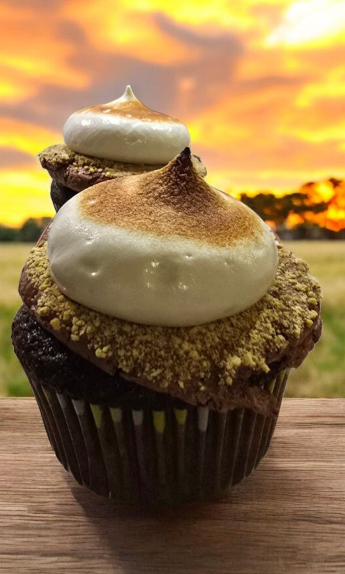 Smores Cupcakes