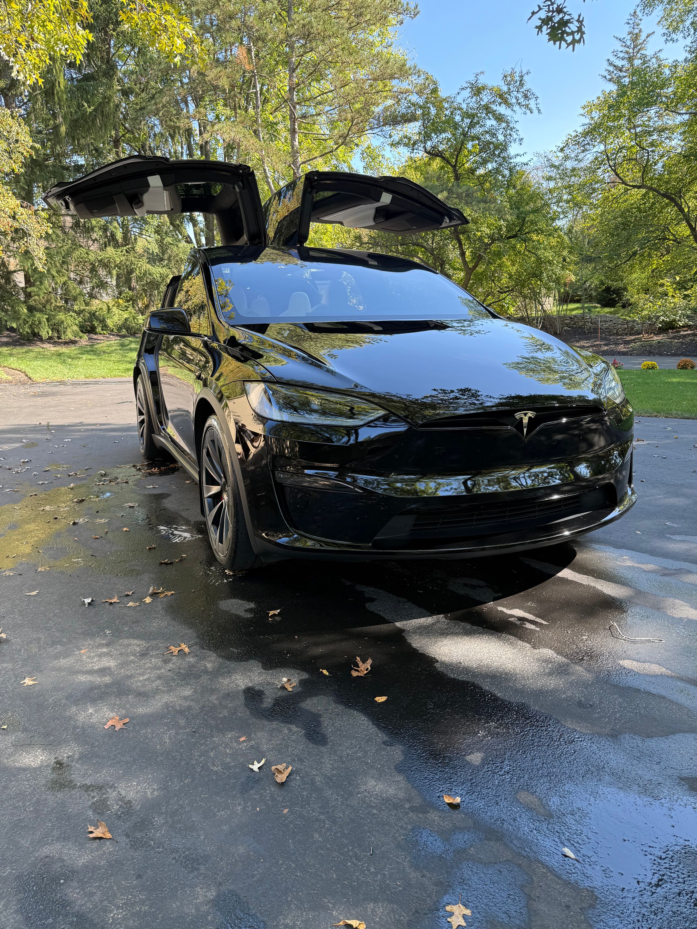 SpaShine Detailing | professional car detailing in Columbus's image