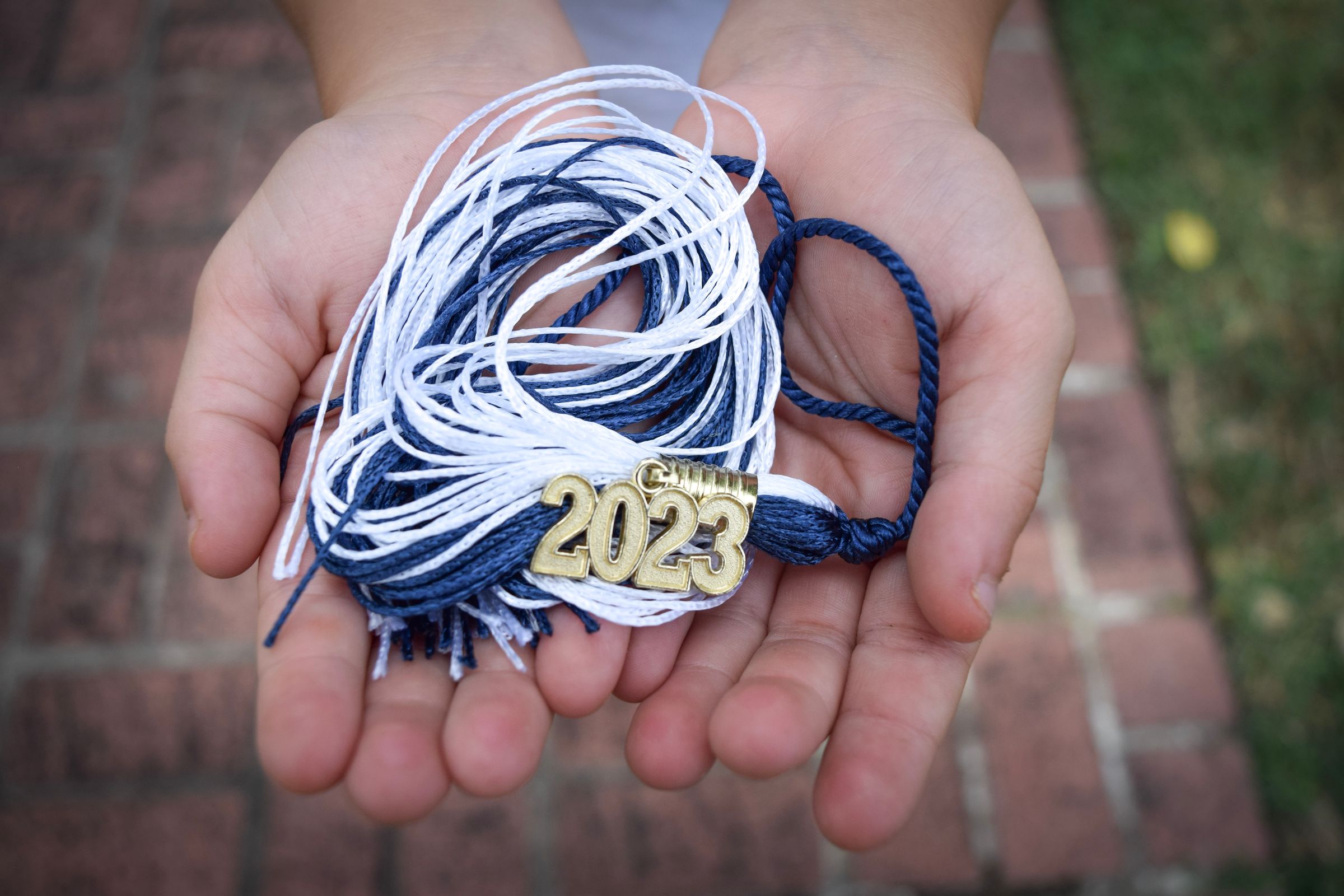 Nineteen Sixty Four Designs 's image