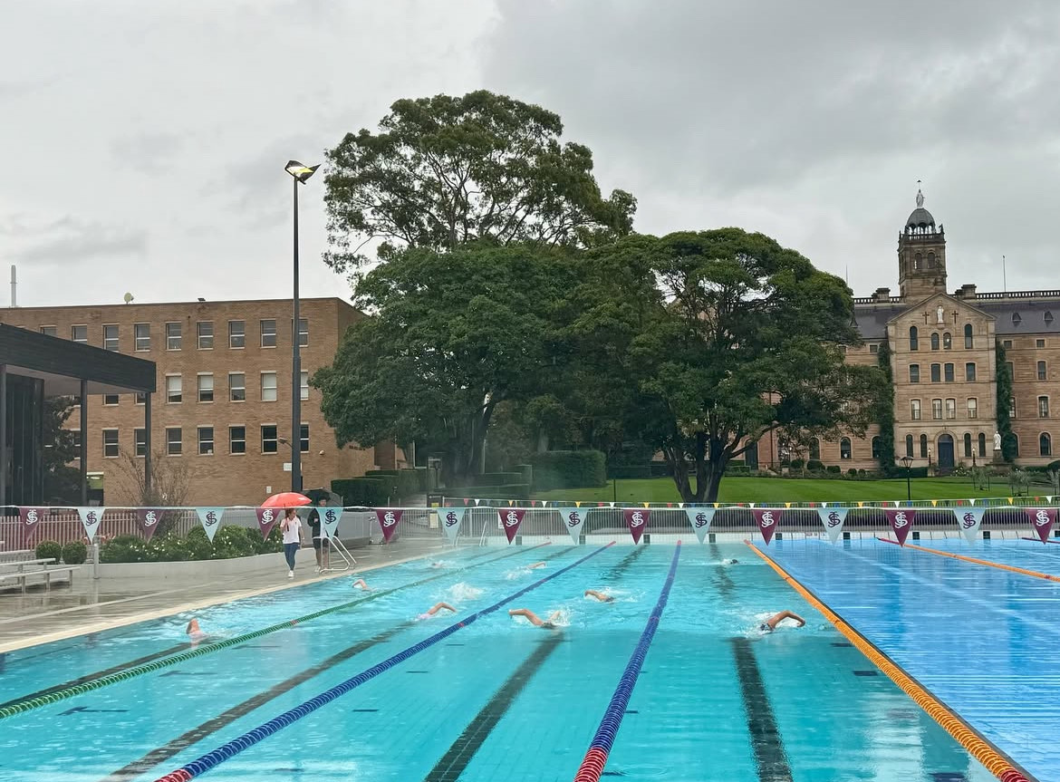 X SWIM ACADEMY's image