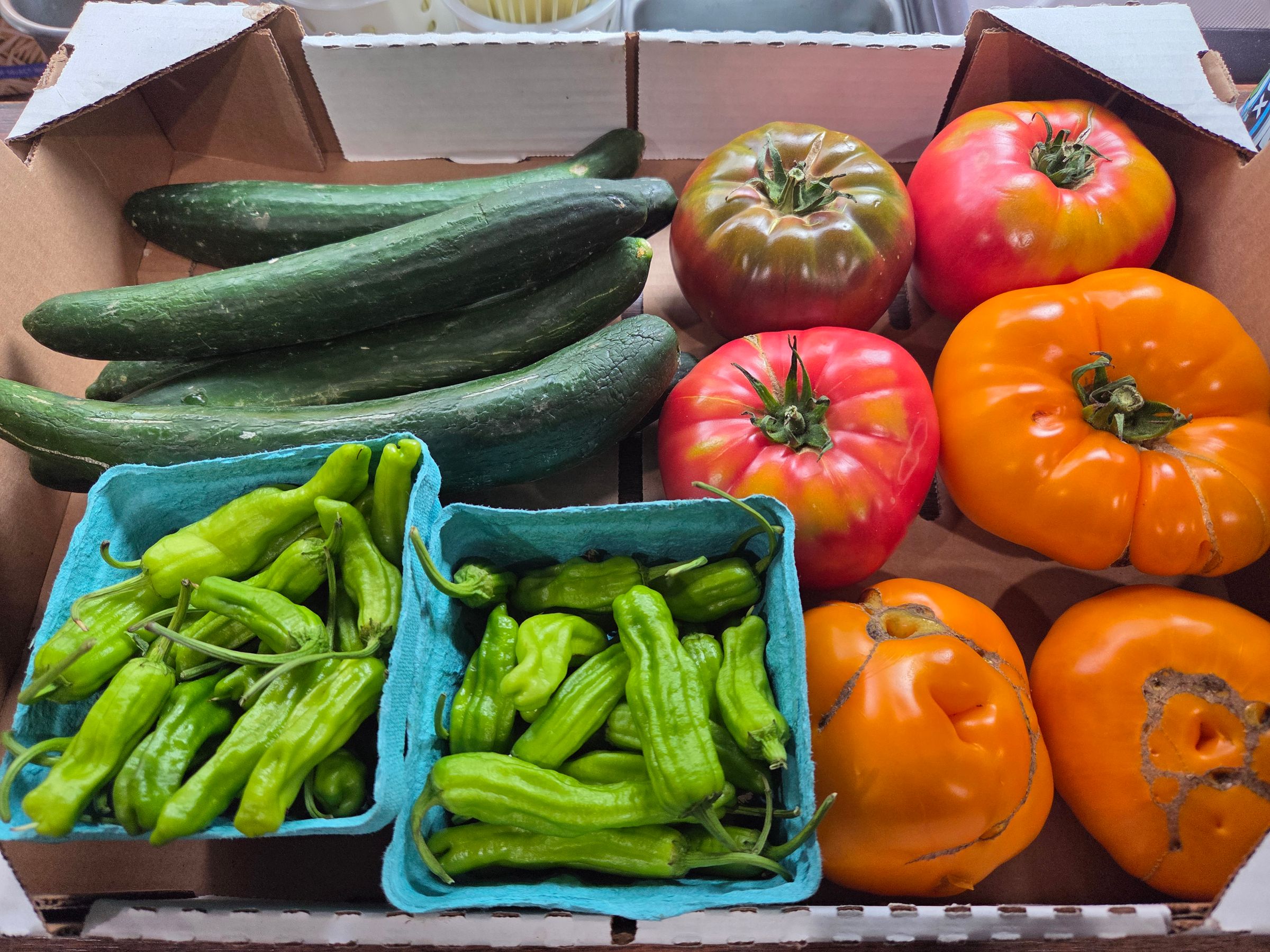 Fresh Veg