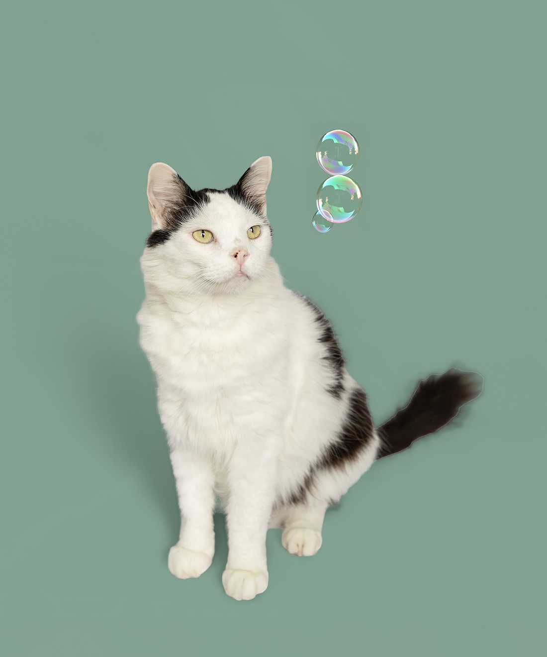 Shiran Carter's image