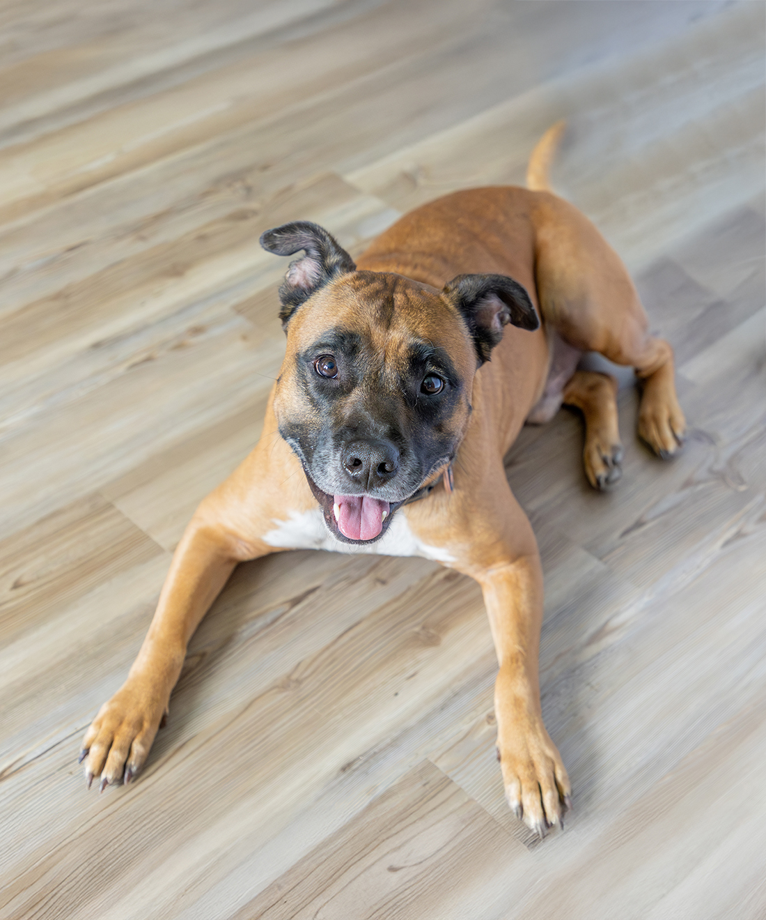 Shiran Carter's image