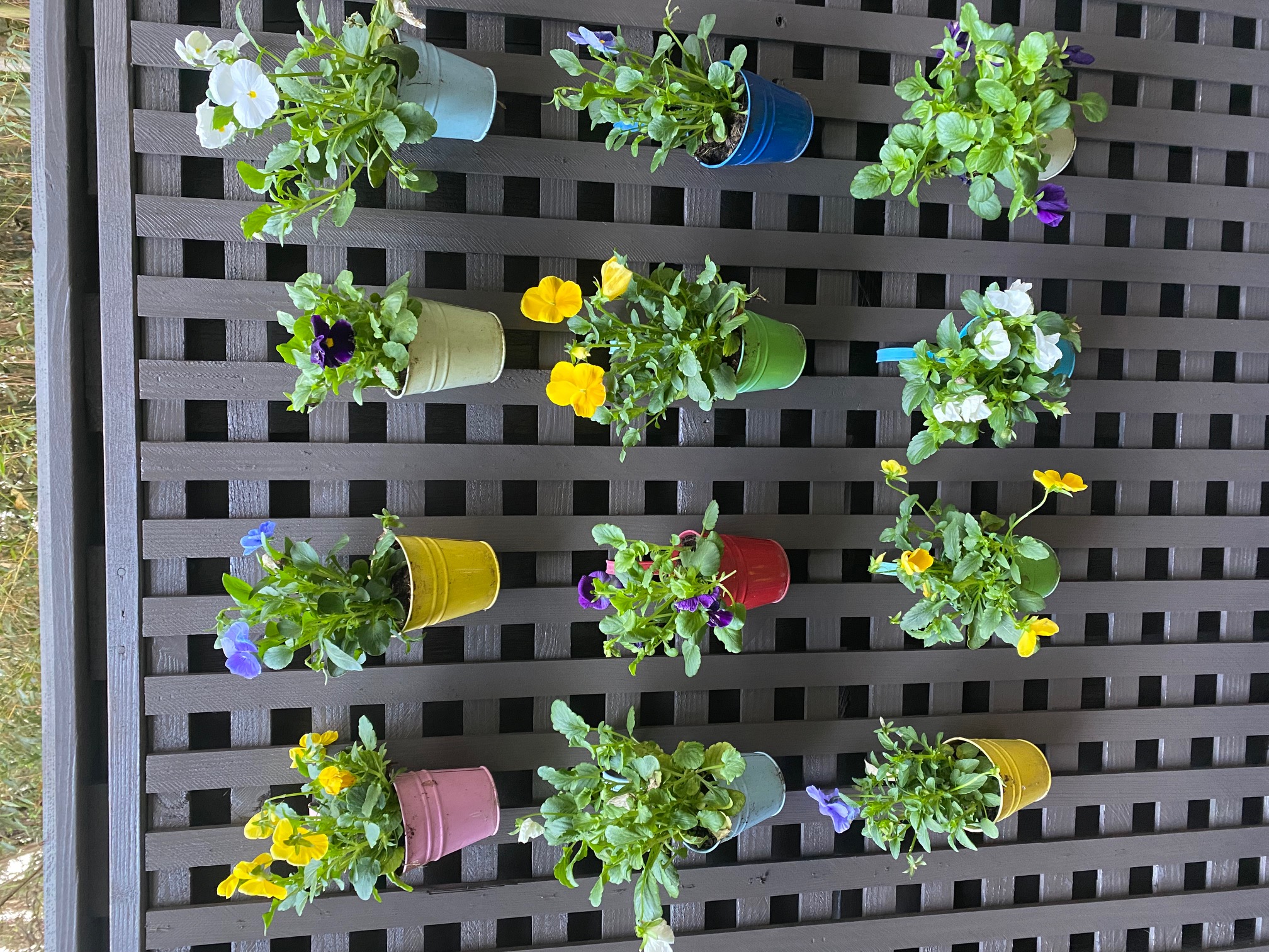 Custom Trellis with Moblie Planters
