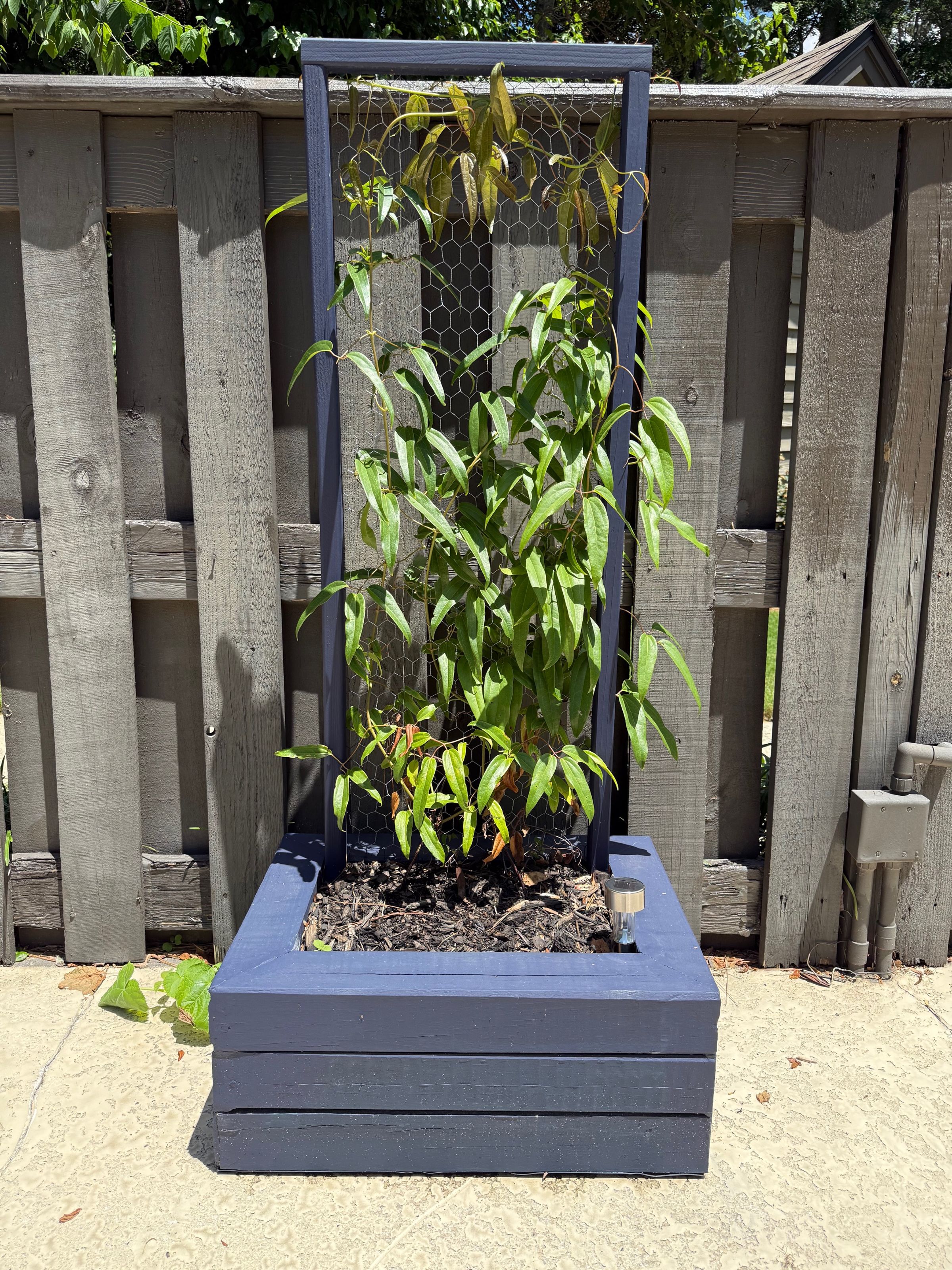Custom Planter 2