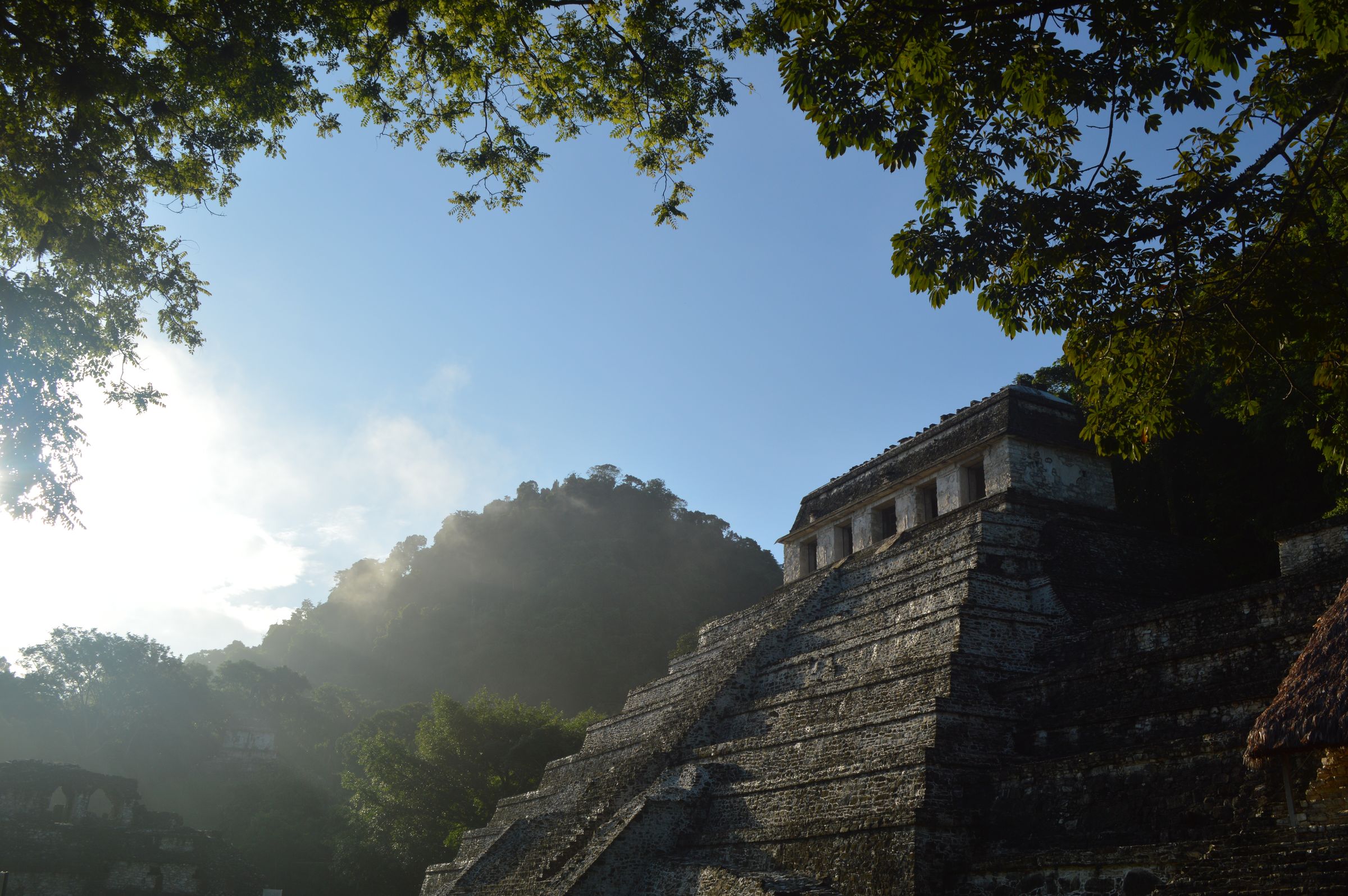 Voice of Zoe's image