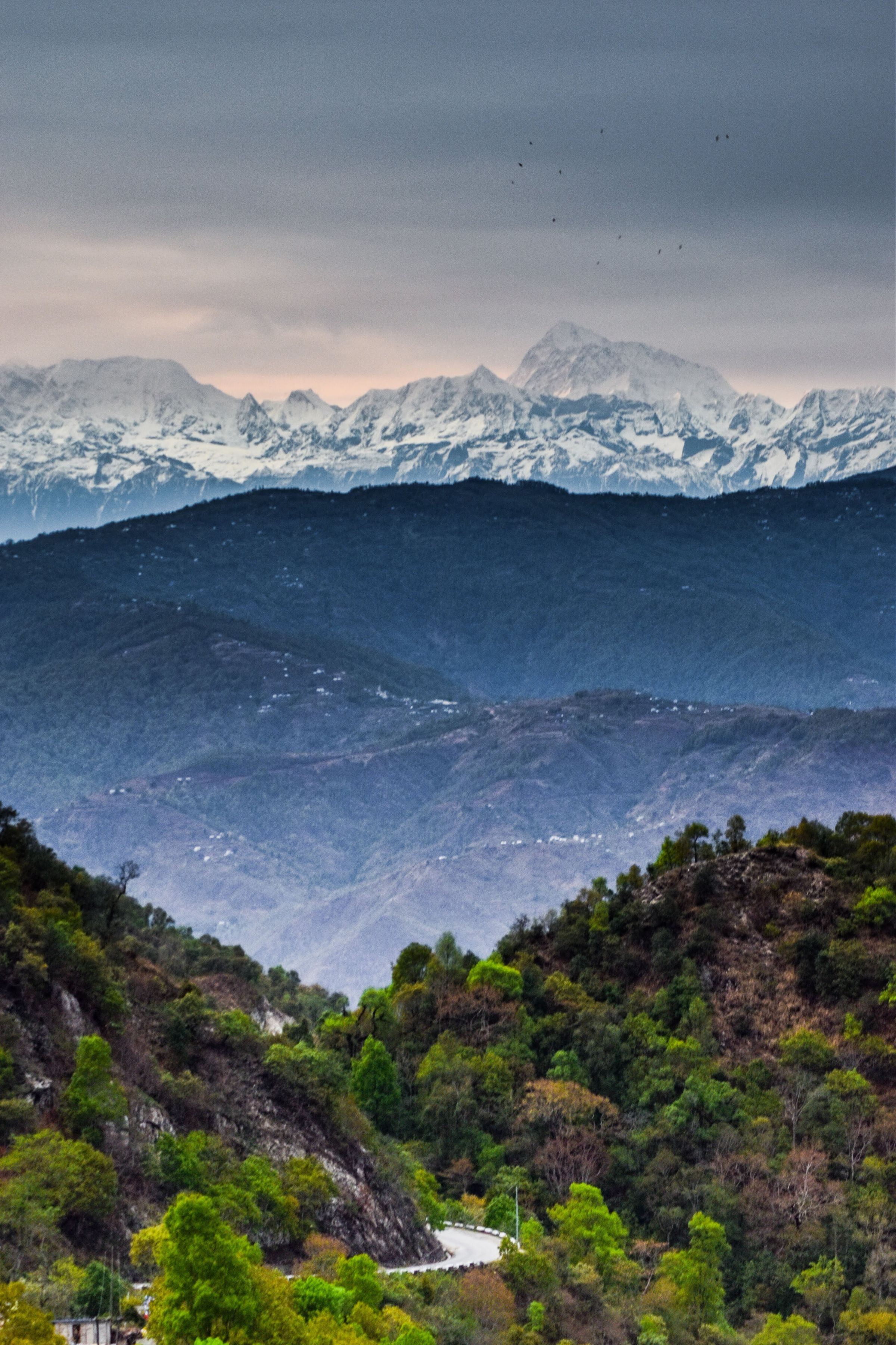 Voice of Zoe's image