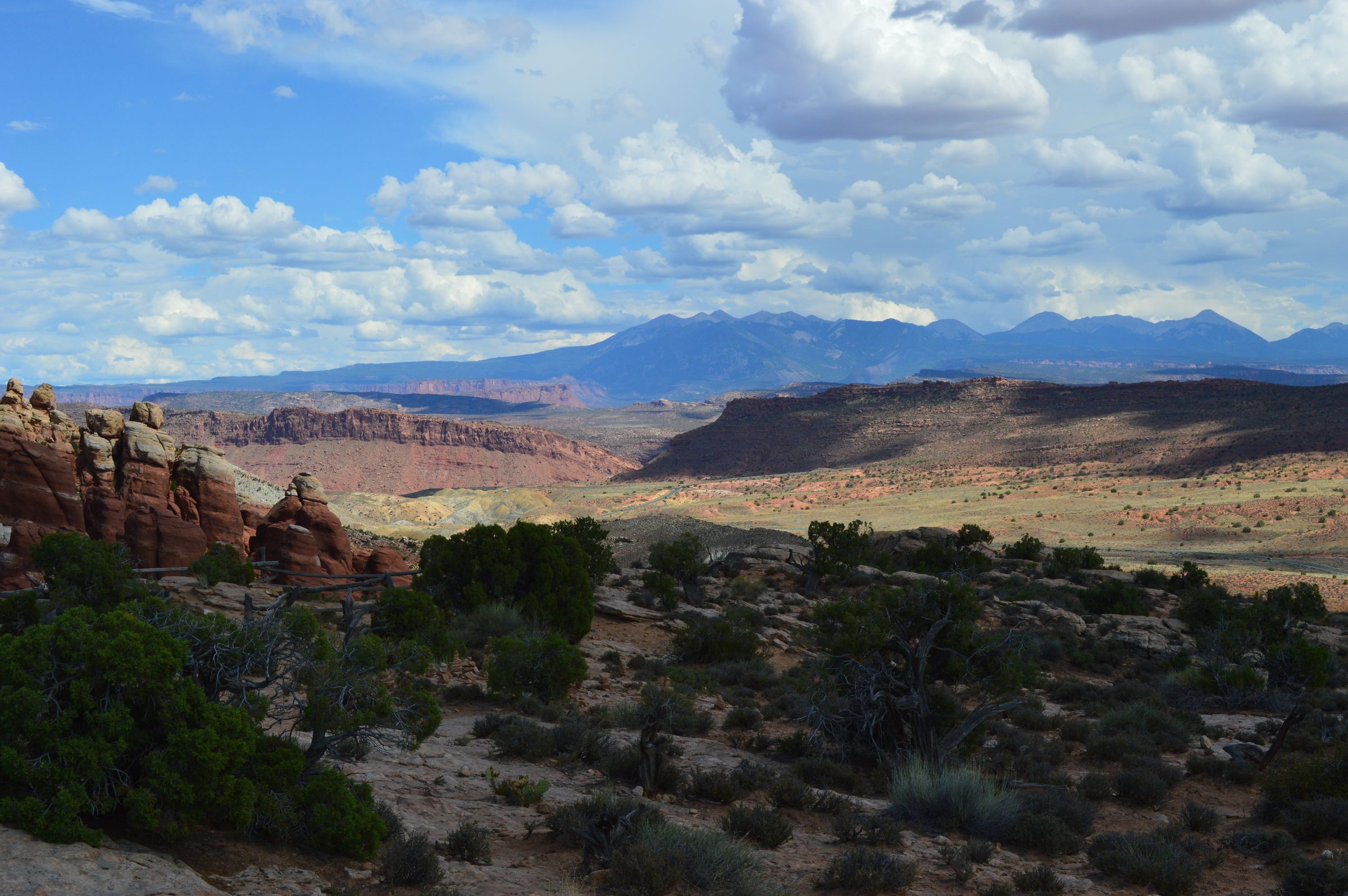 Voice Of Zoe's image