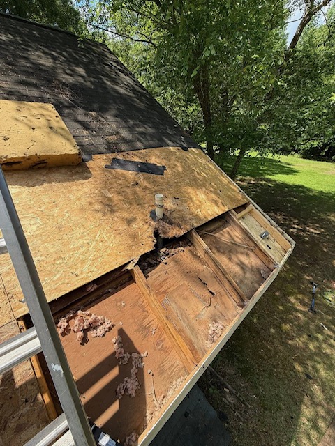 Wood Rot 3 Tab Shingles Before