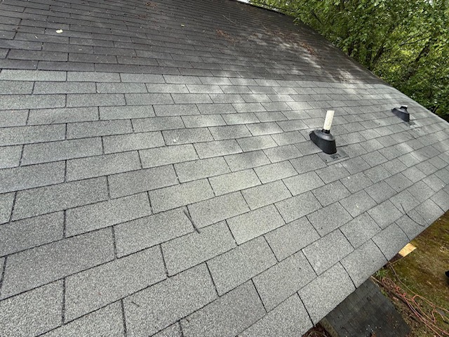 Wood Rot 3 Tab Shingles After