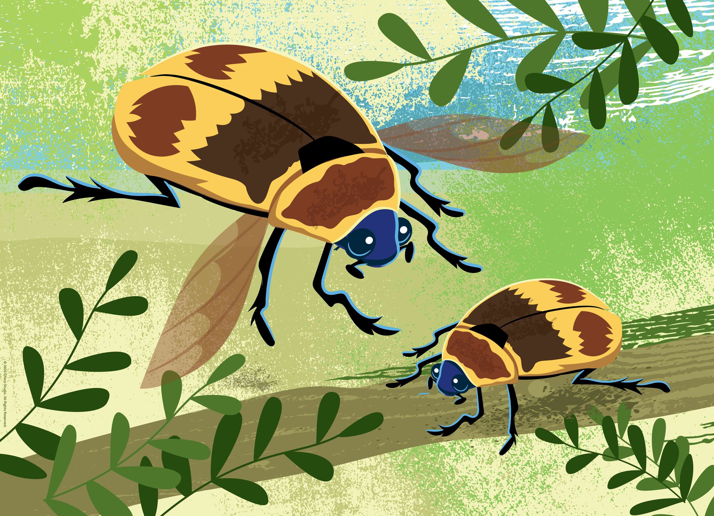 Edgewood Puzzle's image