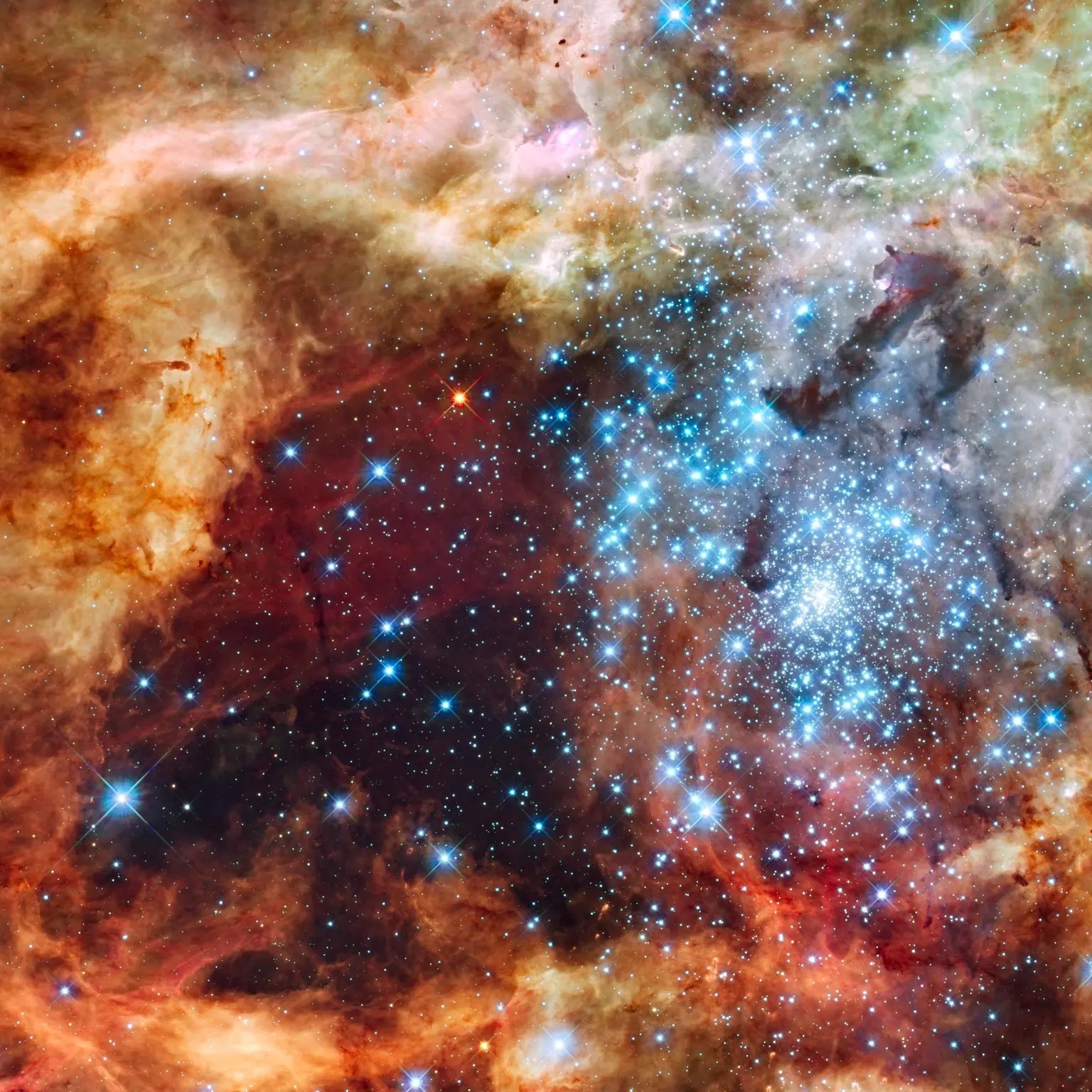 Edgewood Puzzle's image