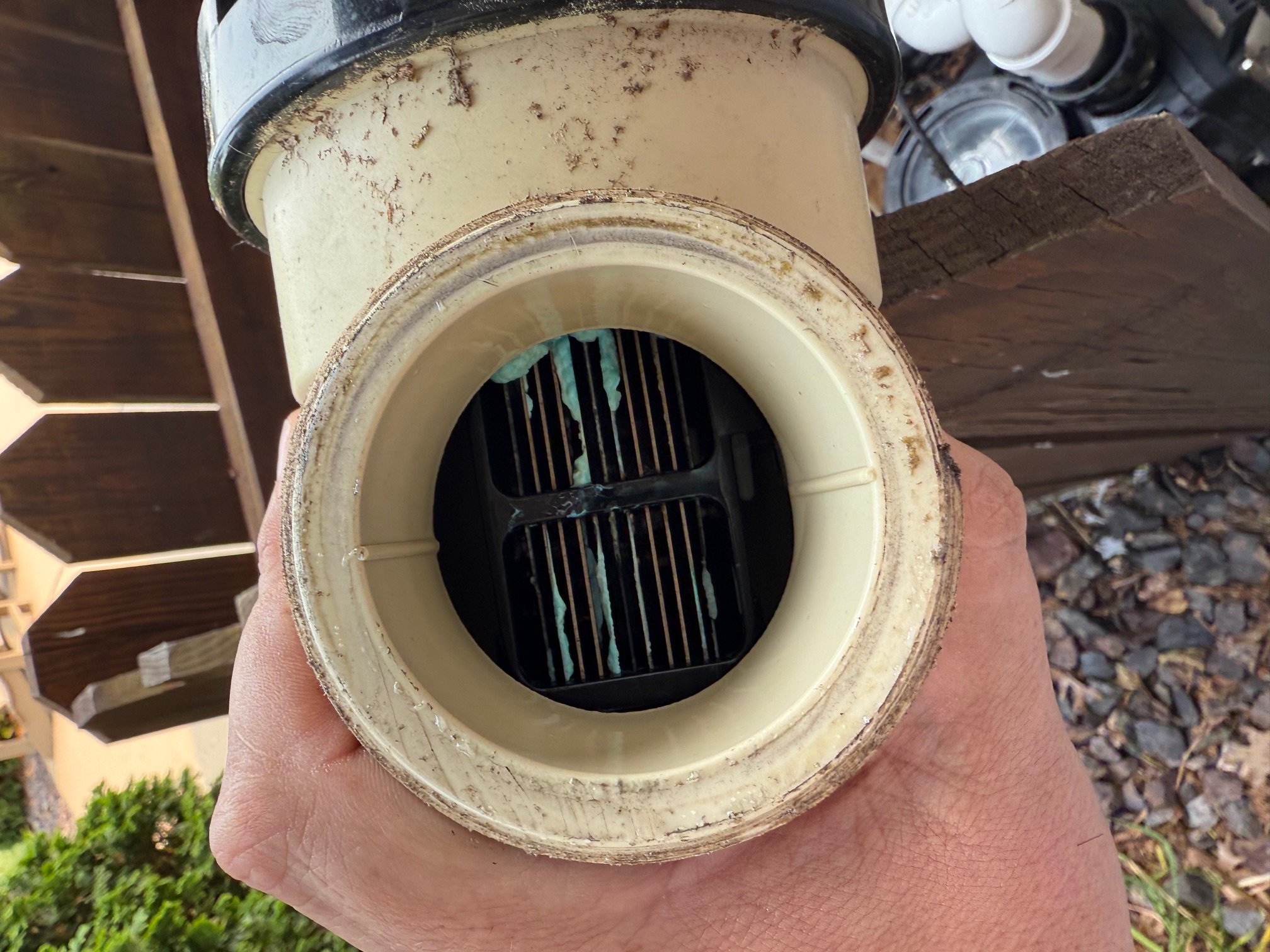 Salt Cell with Scale