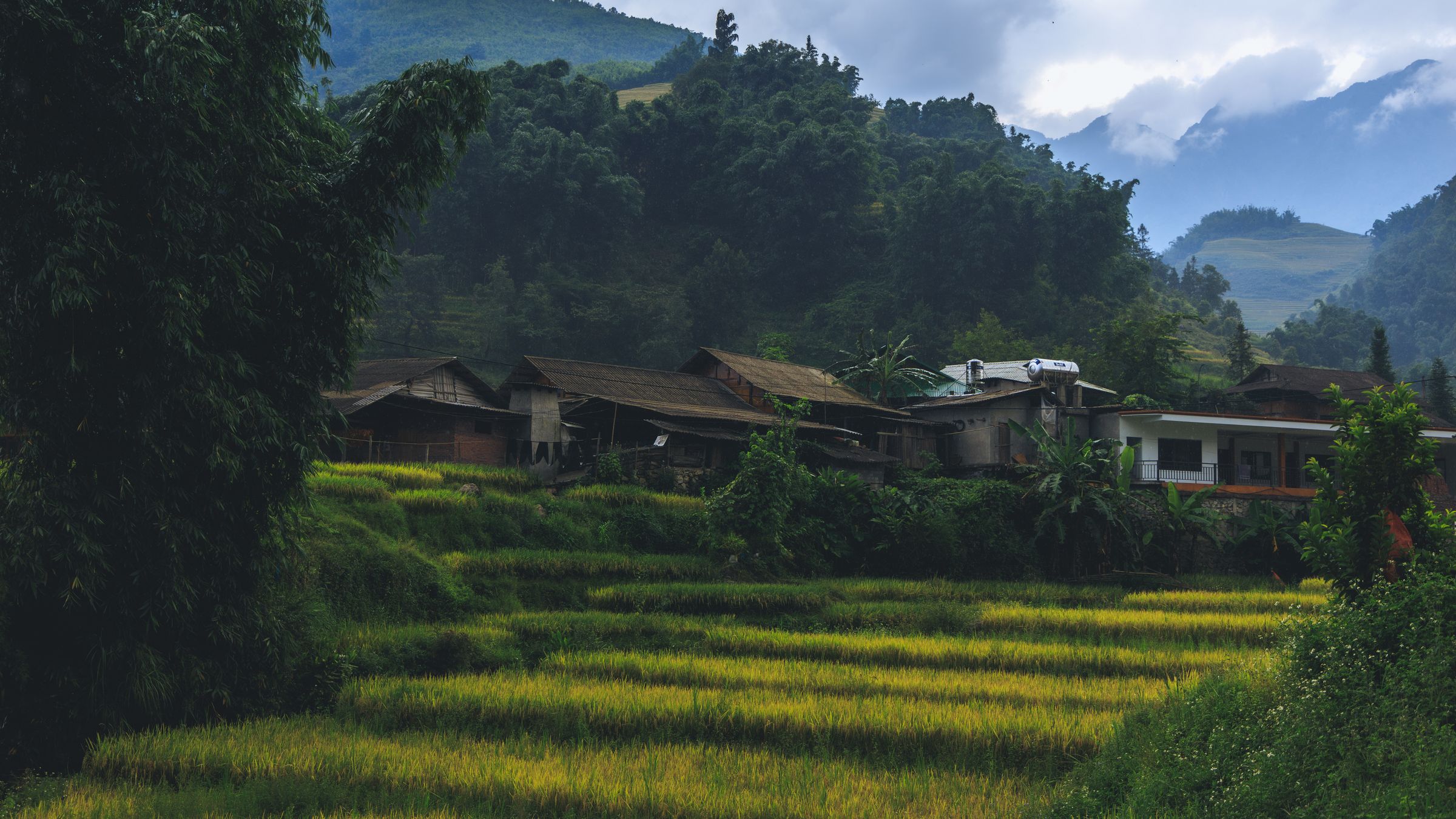 Silent Crow Photography's image