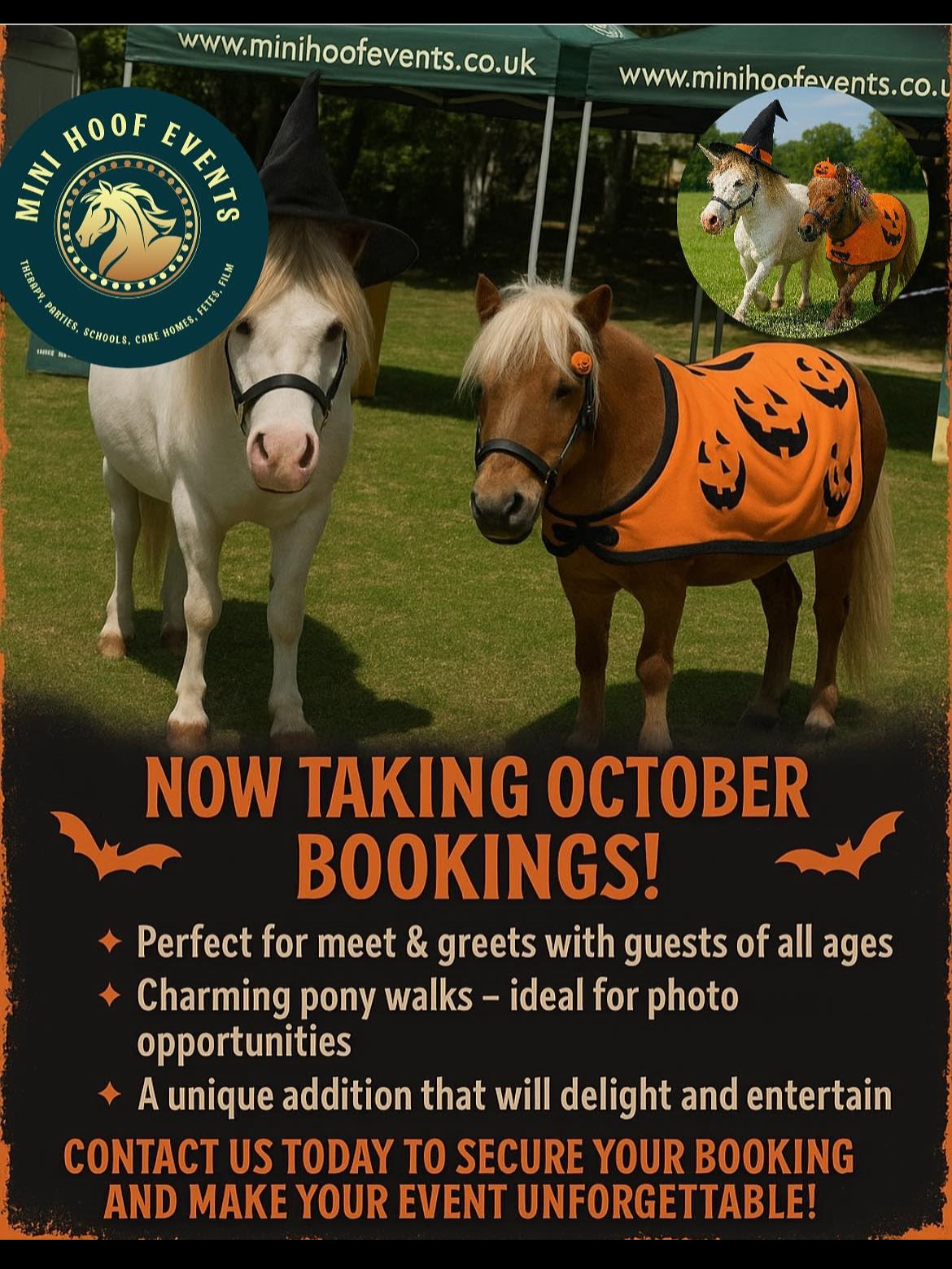 MINI HOOF EVENTS's image
